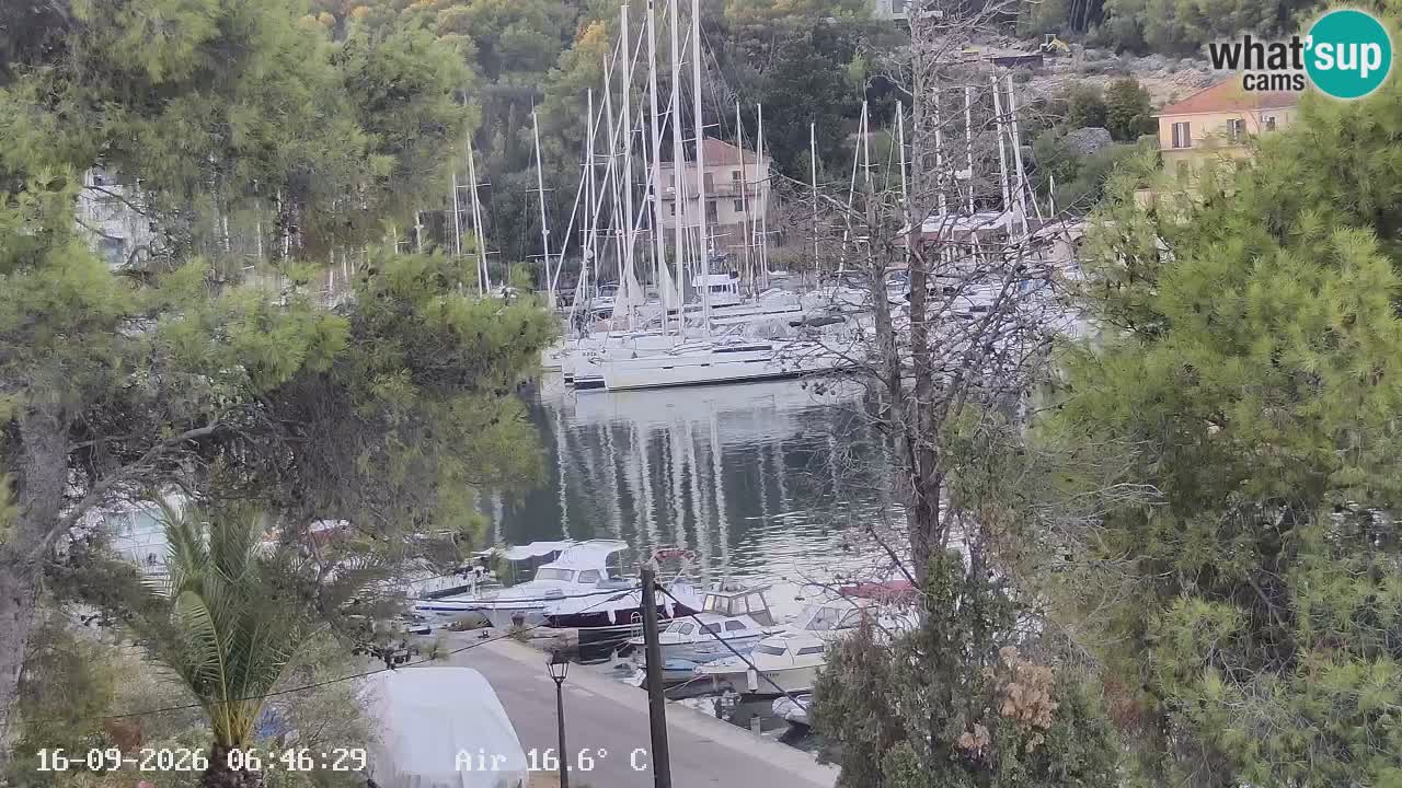 Camera Hvar Vrboska marina | isla de Hvar | Dalmacia