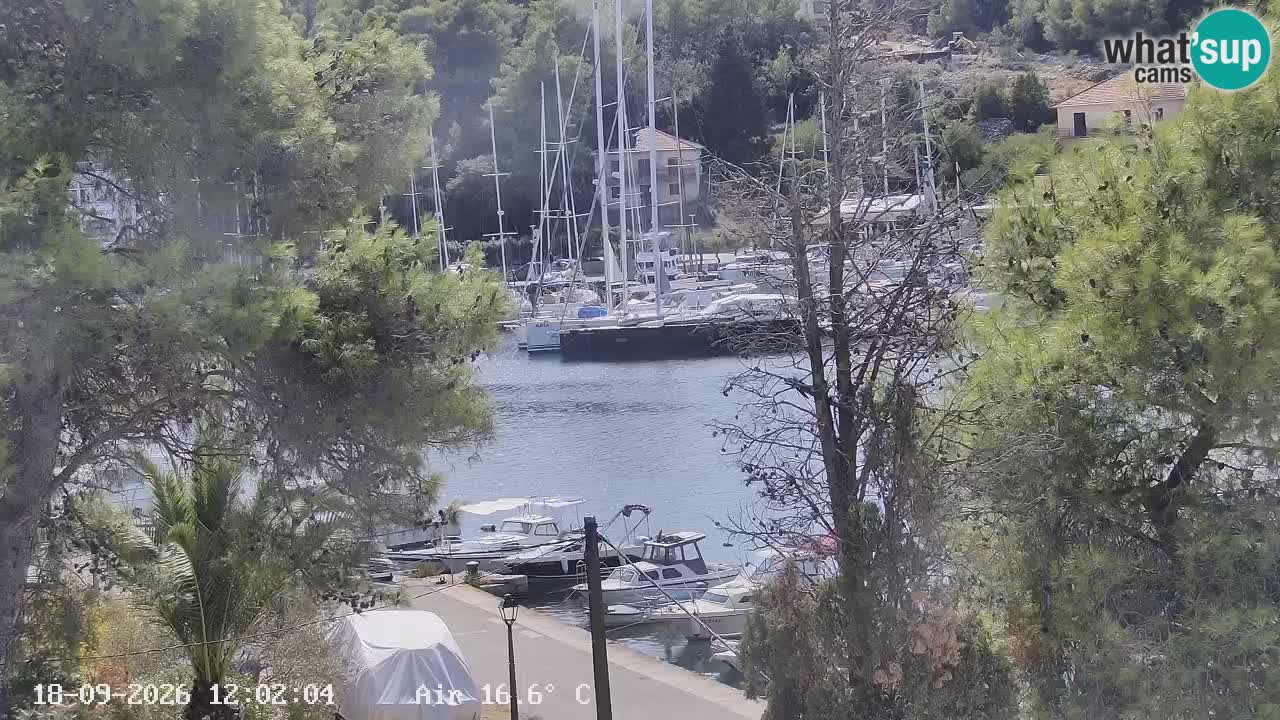 Livecam Hvar Vrboska marina | Île de Hvar | Dalmatia