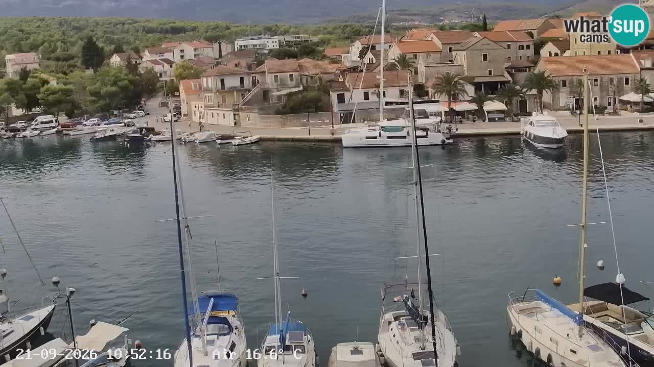 Livecam Hvar Vrboska marina | Île de Hvar | Dalmatia