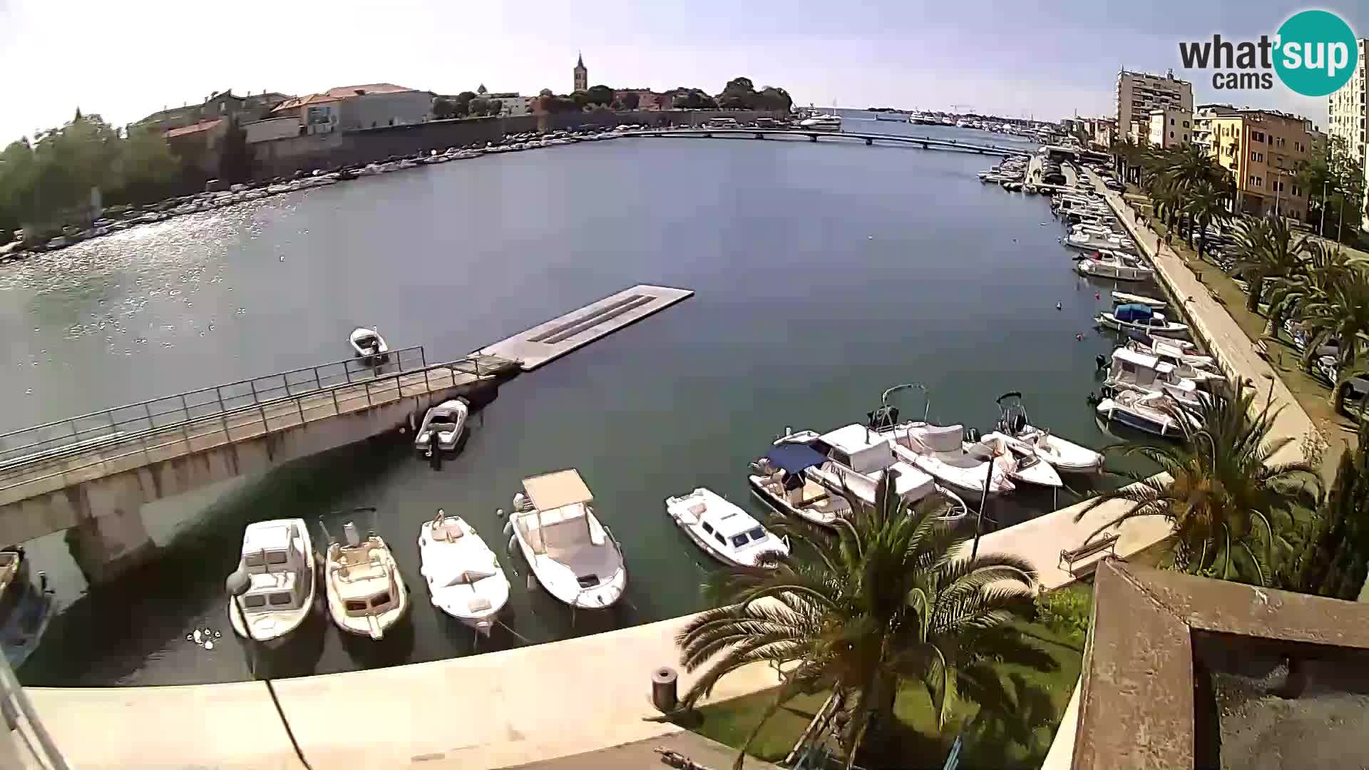 Zadar – Rowing club Jadran