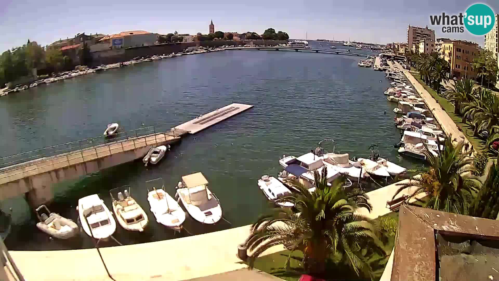Zadar – Circolo di canottaggio Jadran