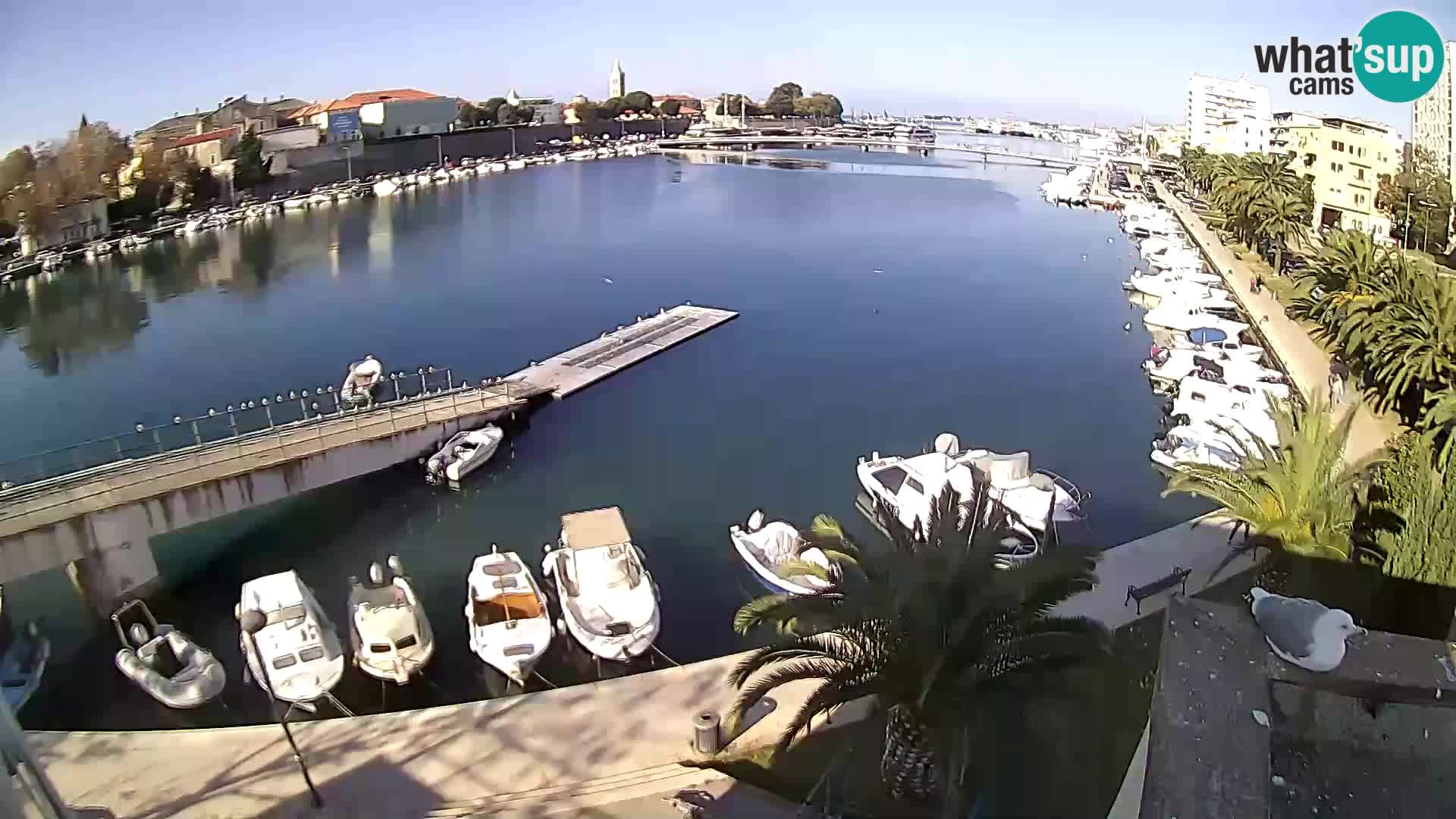 Zadar – Circolo di canottaggio Jadran