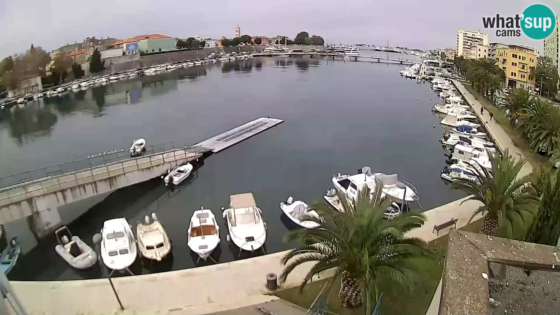 Zadar – Veslački klub Jadran