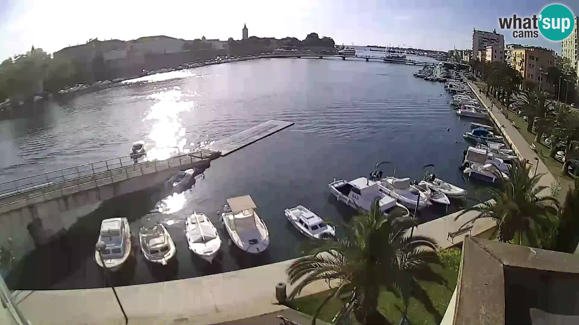 Webkamera - Zadar
