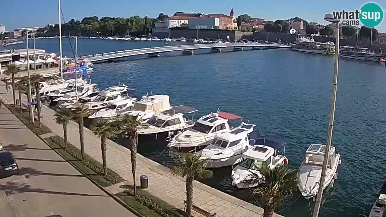 Marina Borik spletna kamera Zadar - Whatsupcams Kamera v zivo