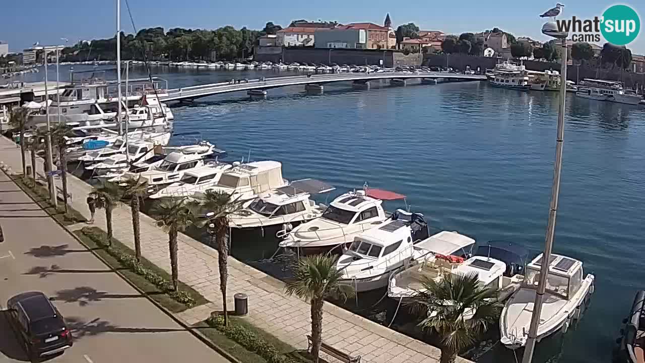 Zadar – Most