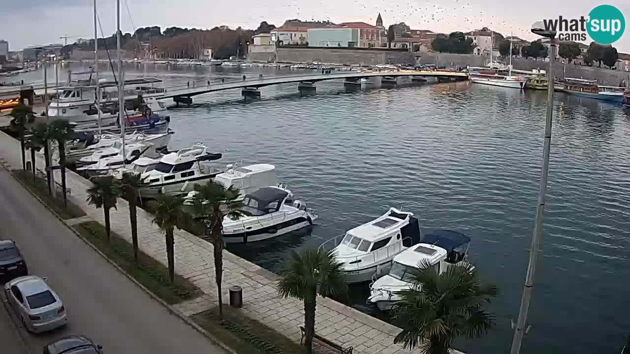 Zadar webcam Bridge – Croatia