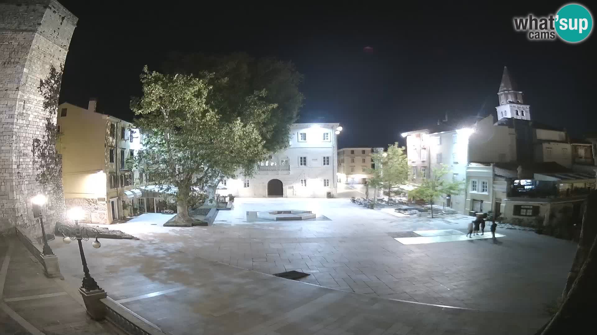 Zadar – Trg Petra Zoranića