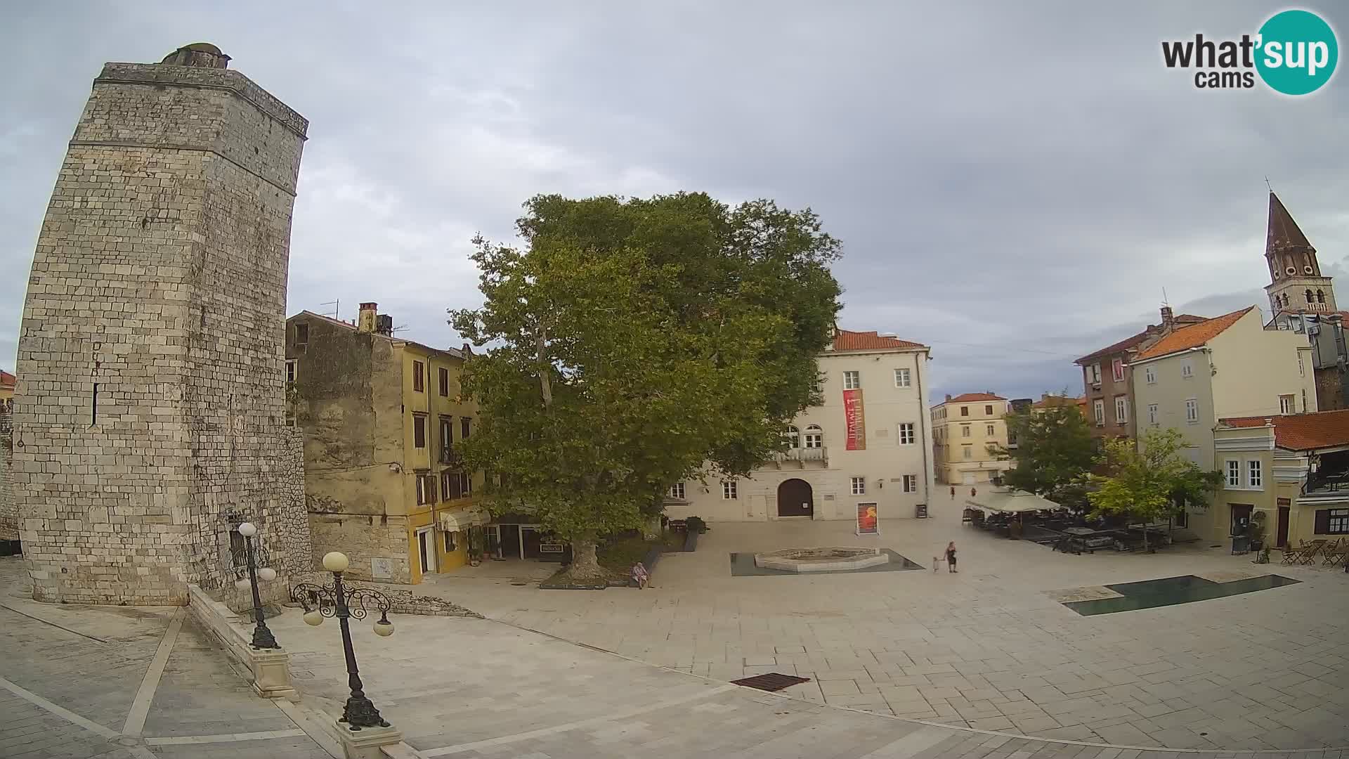 Zadar – Trg Petra Zoranića