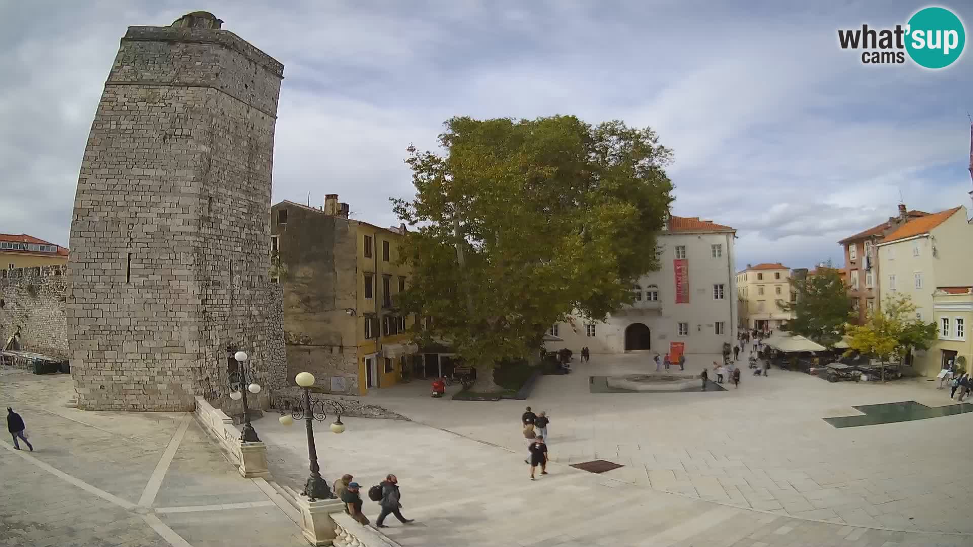 Zadar – Trg Petra Zoranića