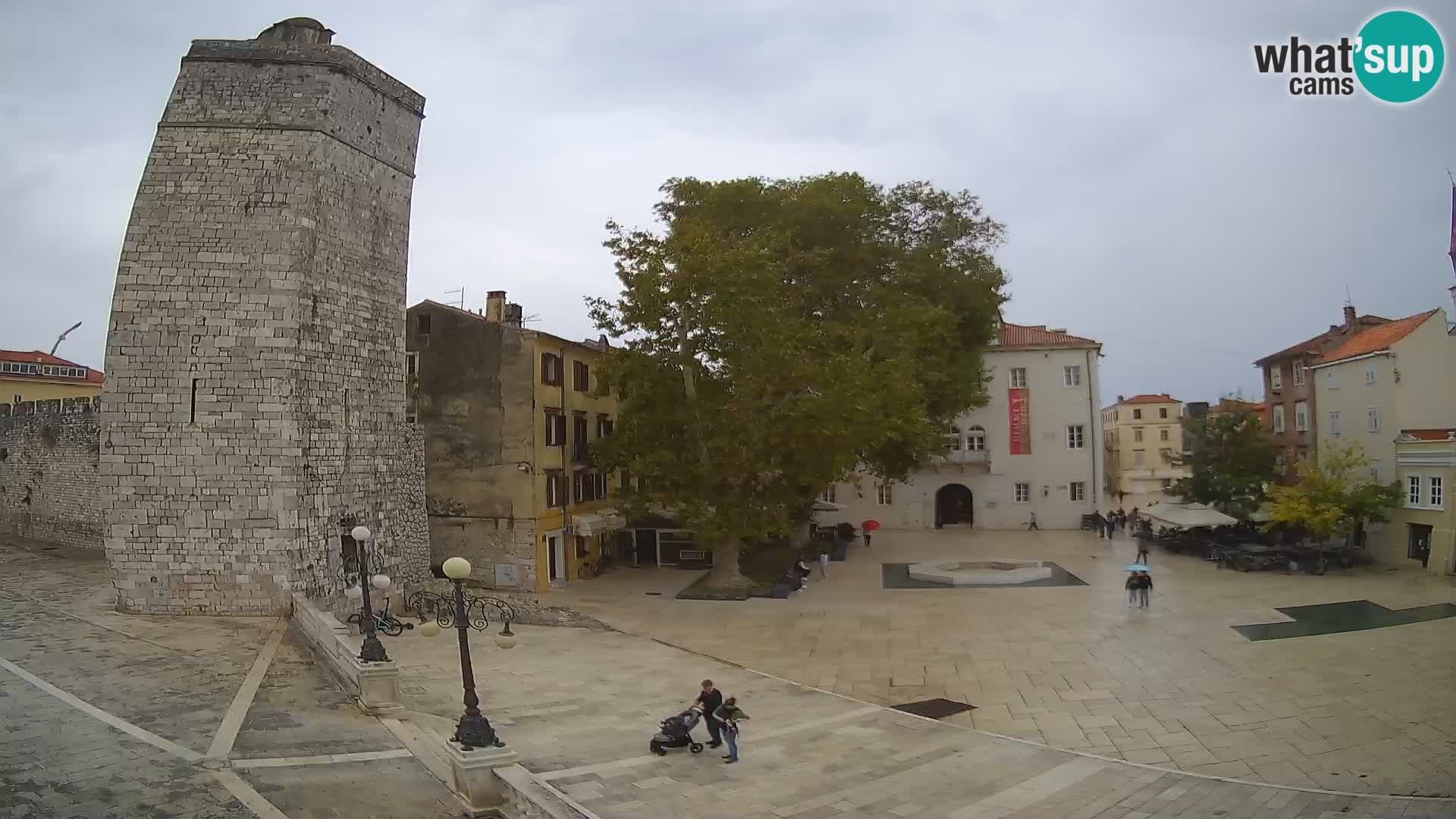 Zadar – Trg Petra Zoranića