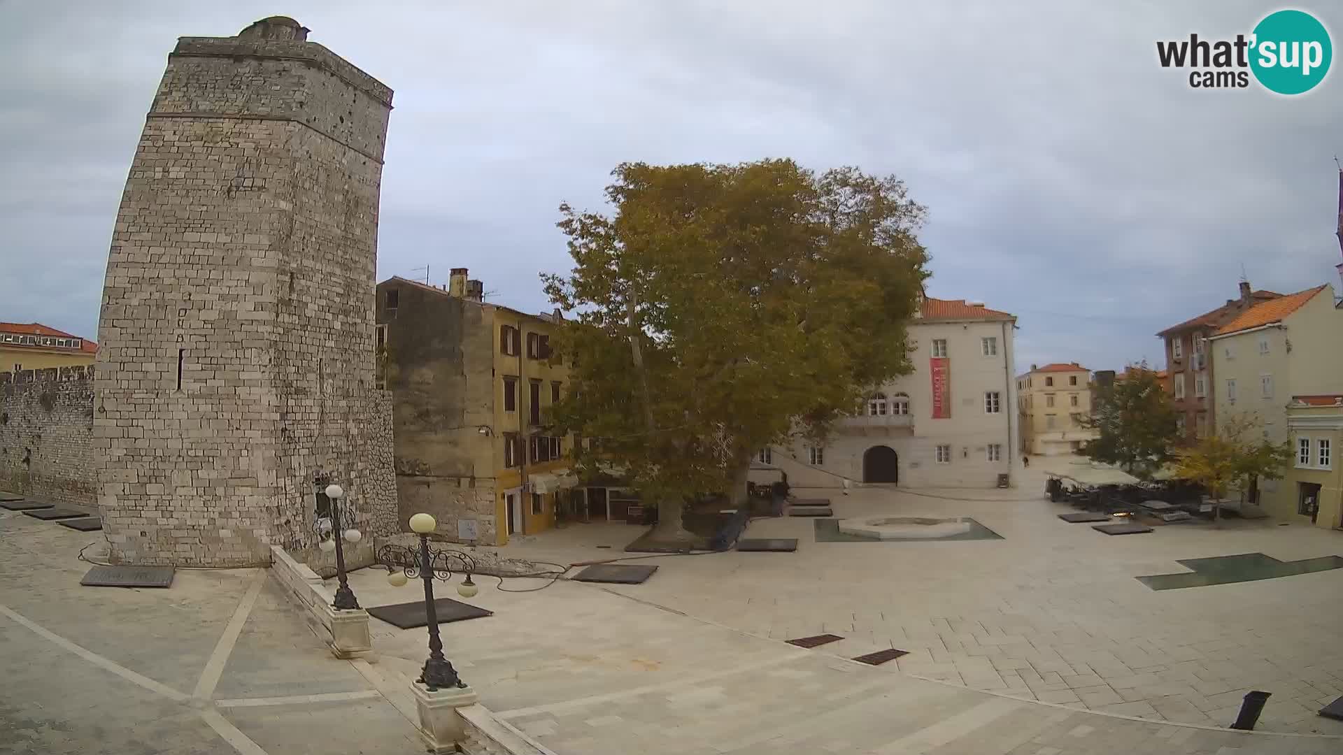 Zadar – Trg Petra Zoranića