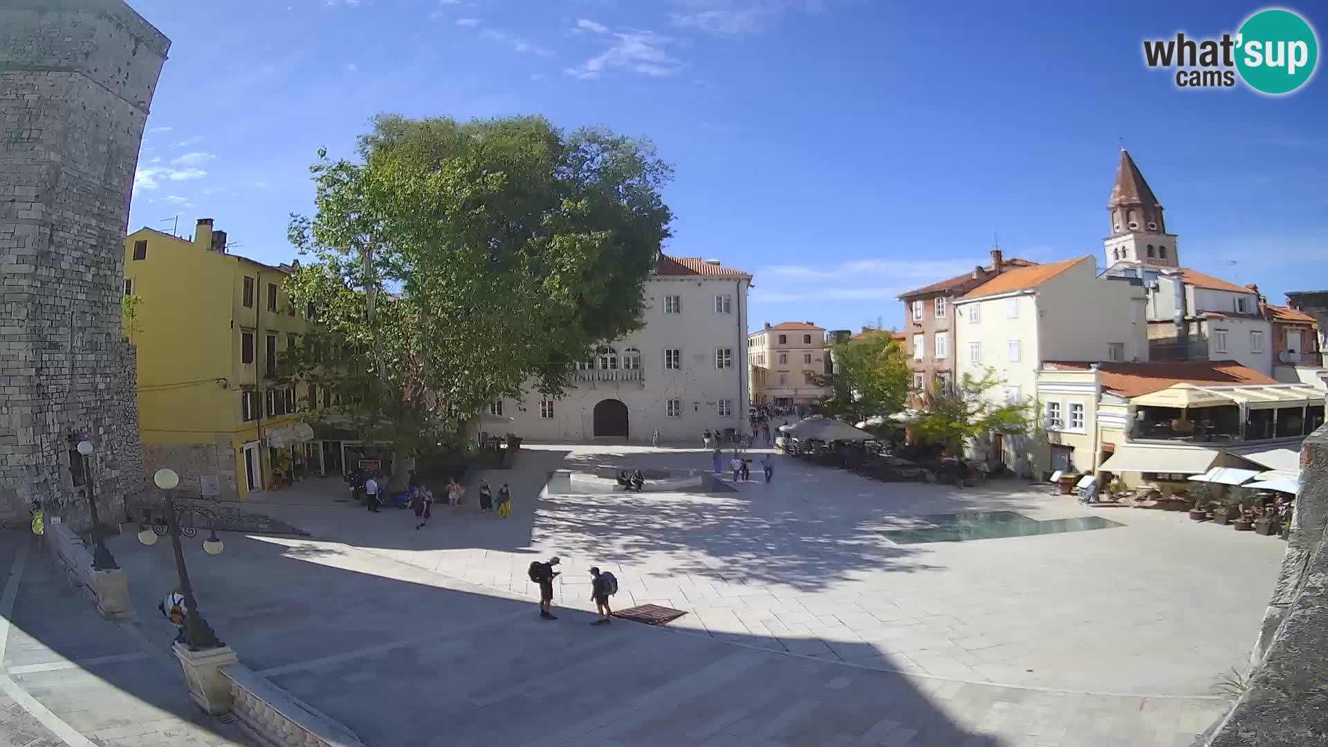 Zadar – Trg Petra Zoranića