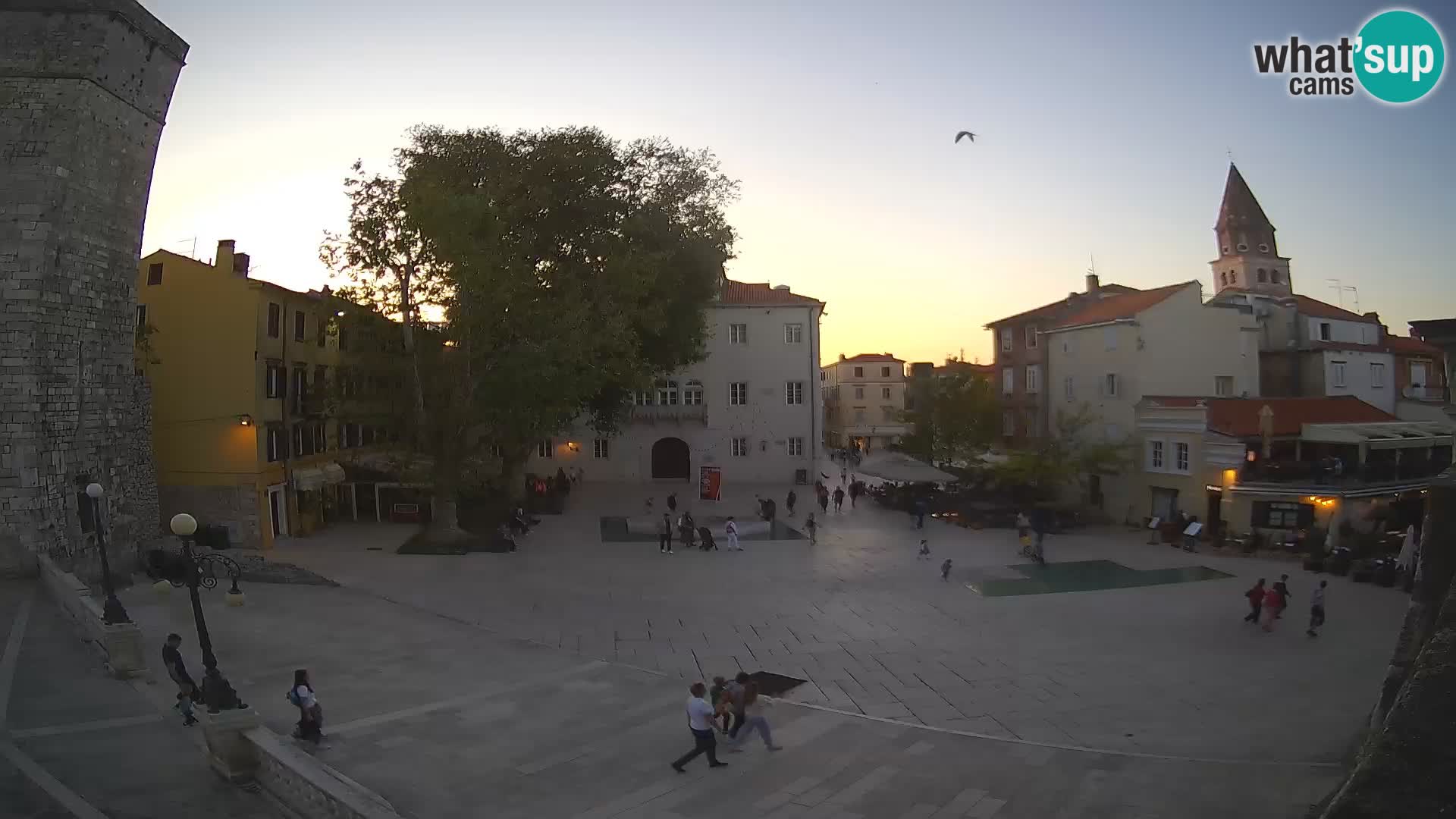 Zadar – Trg Petra Zoranića