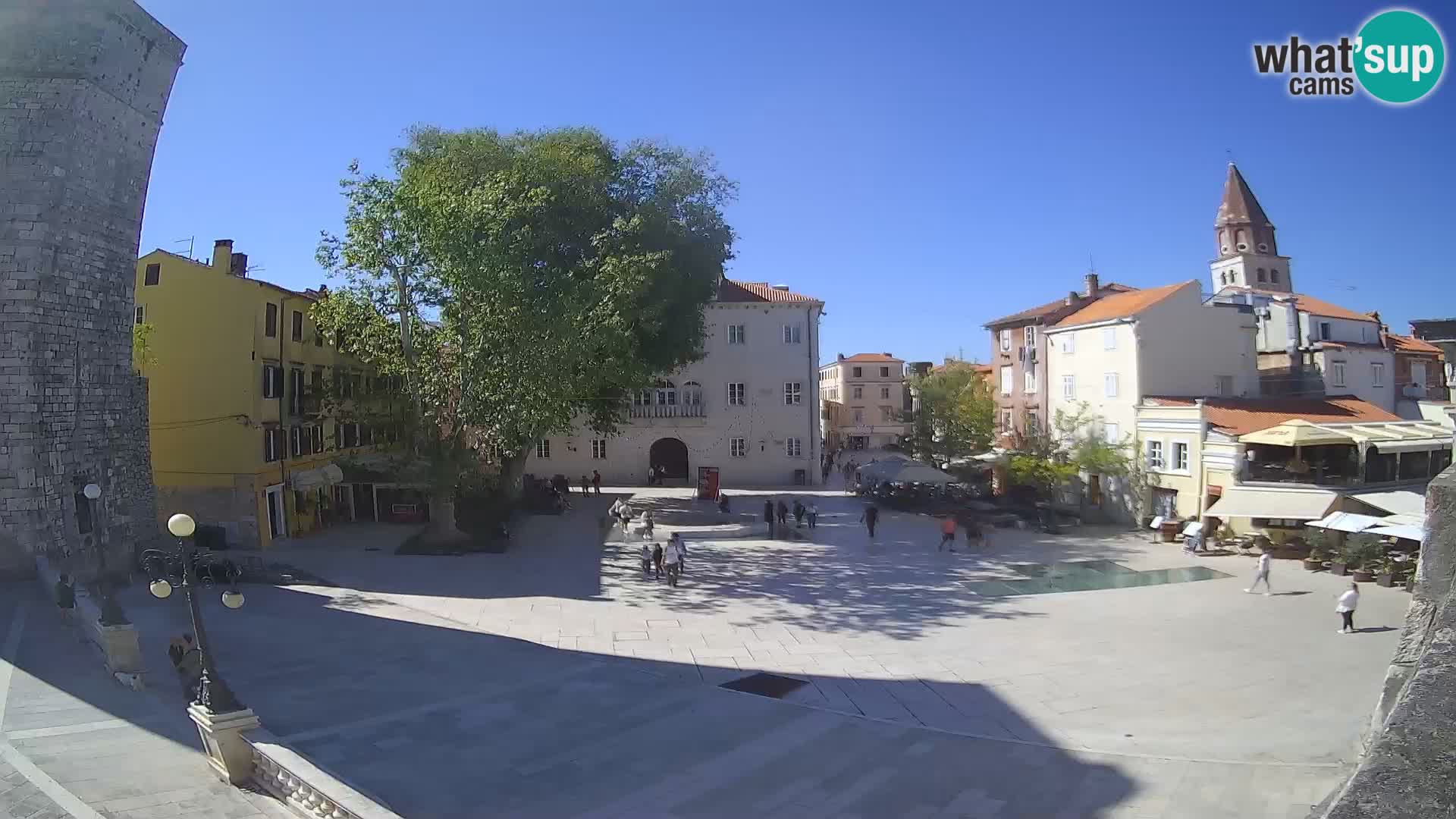 Zadar – Trg Petra Zoranića