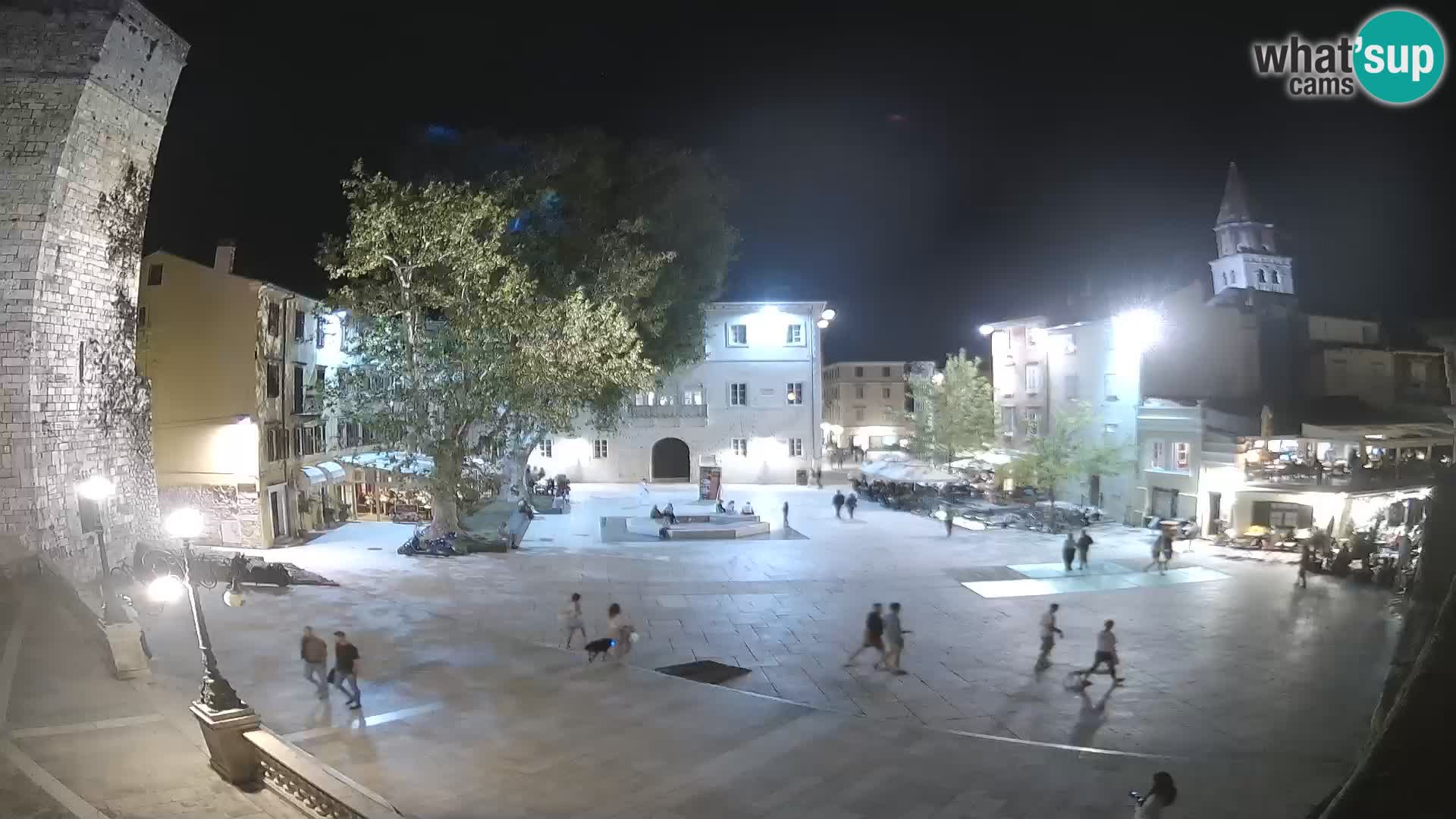 Zadar – Trg Petra Zoranića