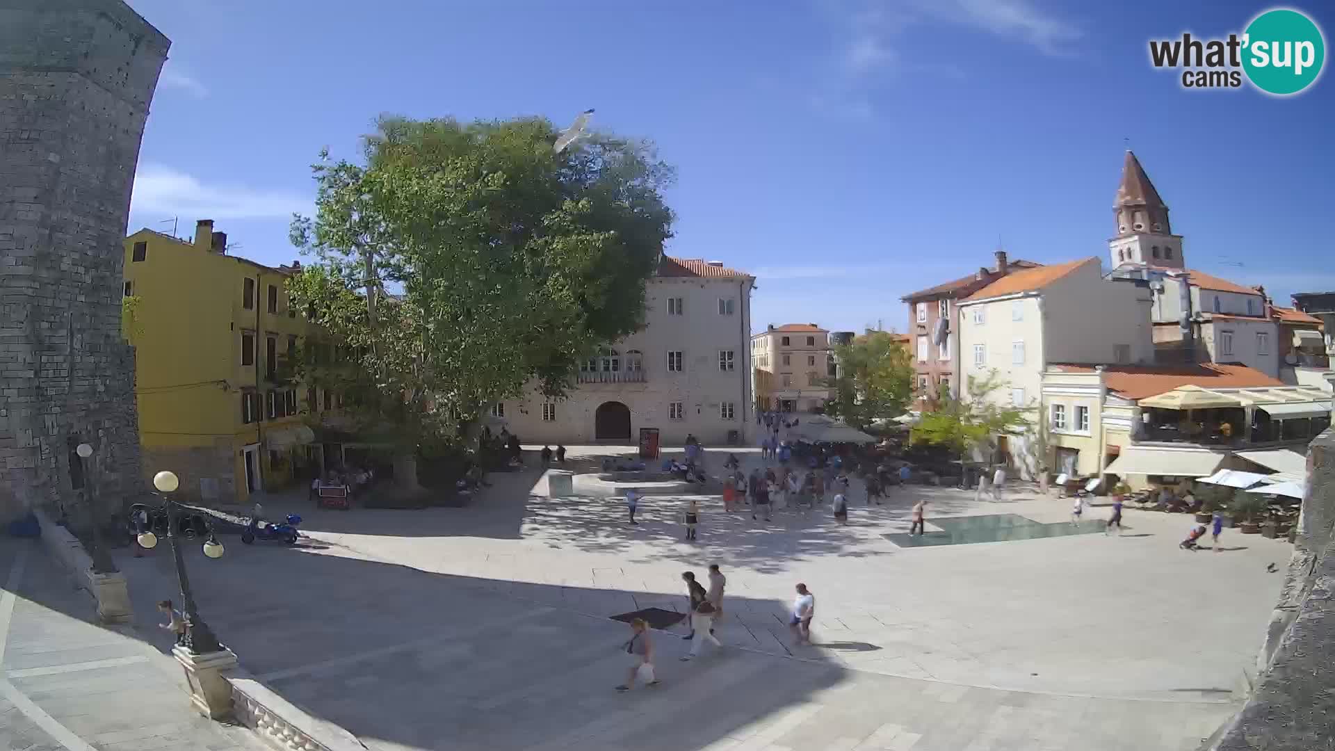 Zadar – Trg Petra Zoranića