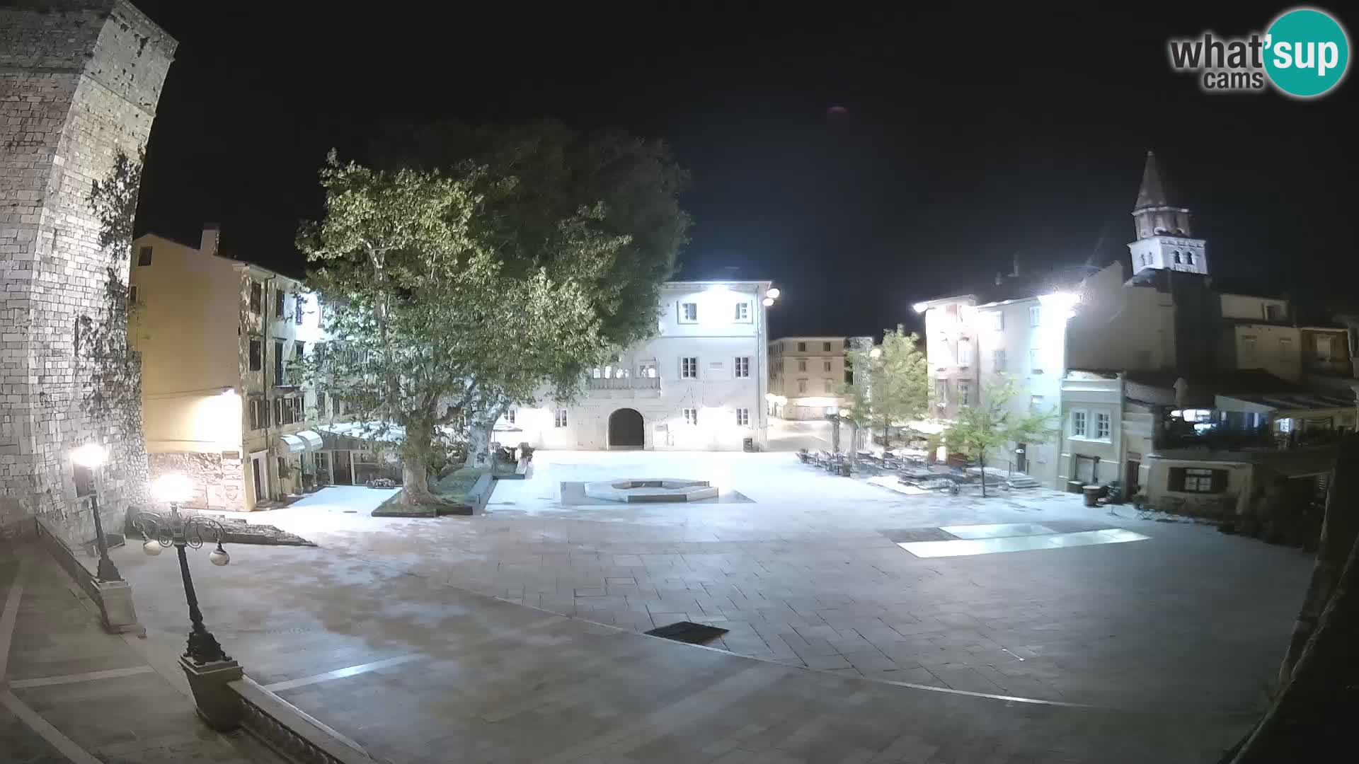 Zadar – Trg Petra Zoranića
