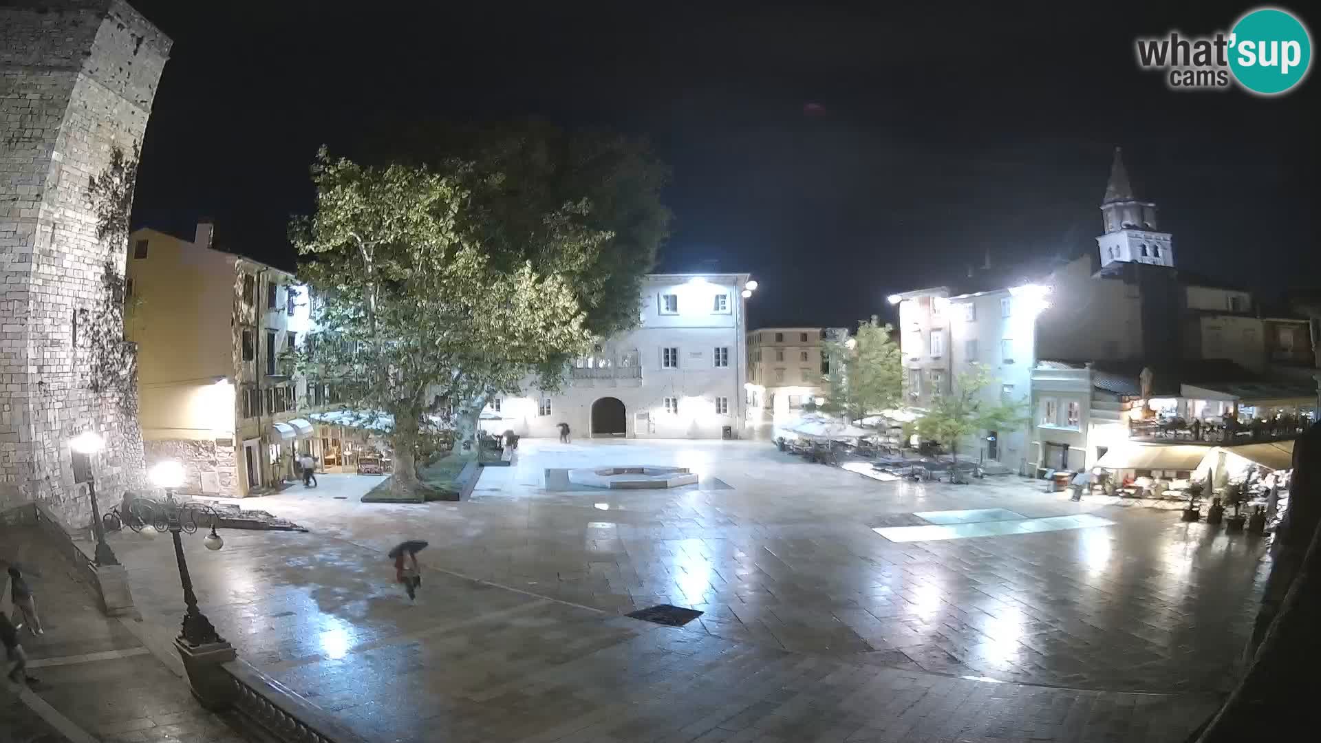 Zadar – Trg Petra Zoranića