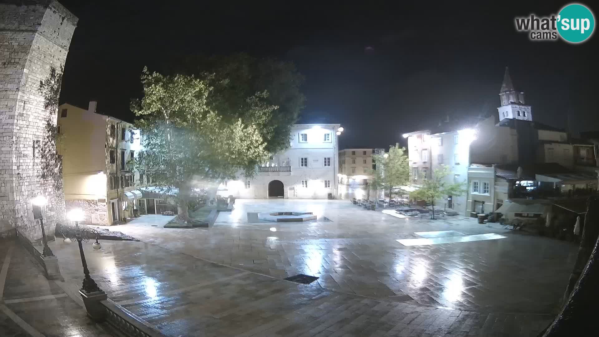 Zadar – Trg Petra Zoranića