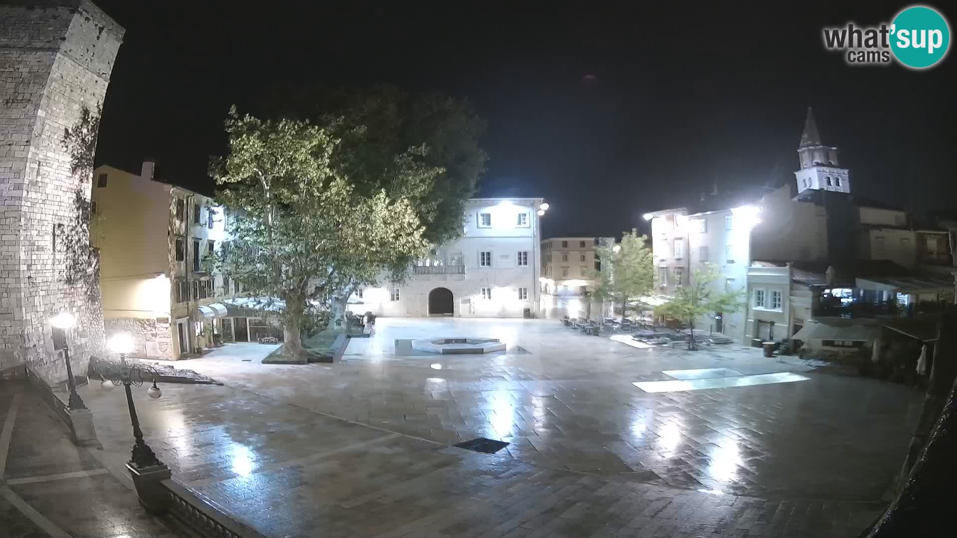 Zadar – Trg Petra Zoranića
