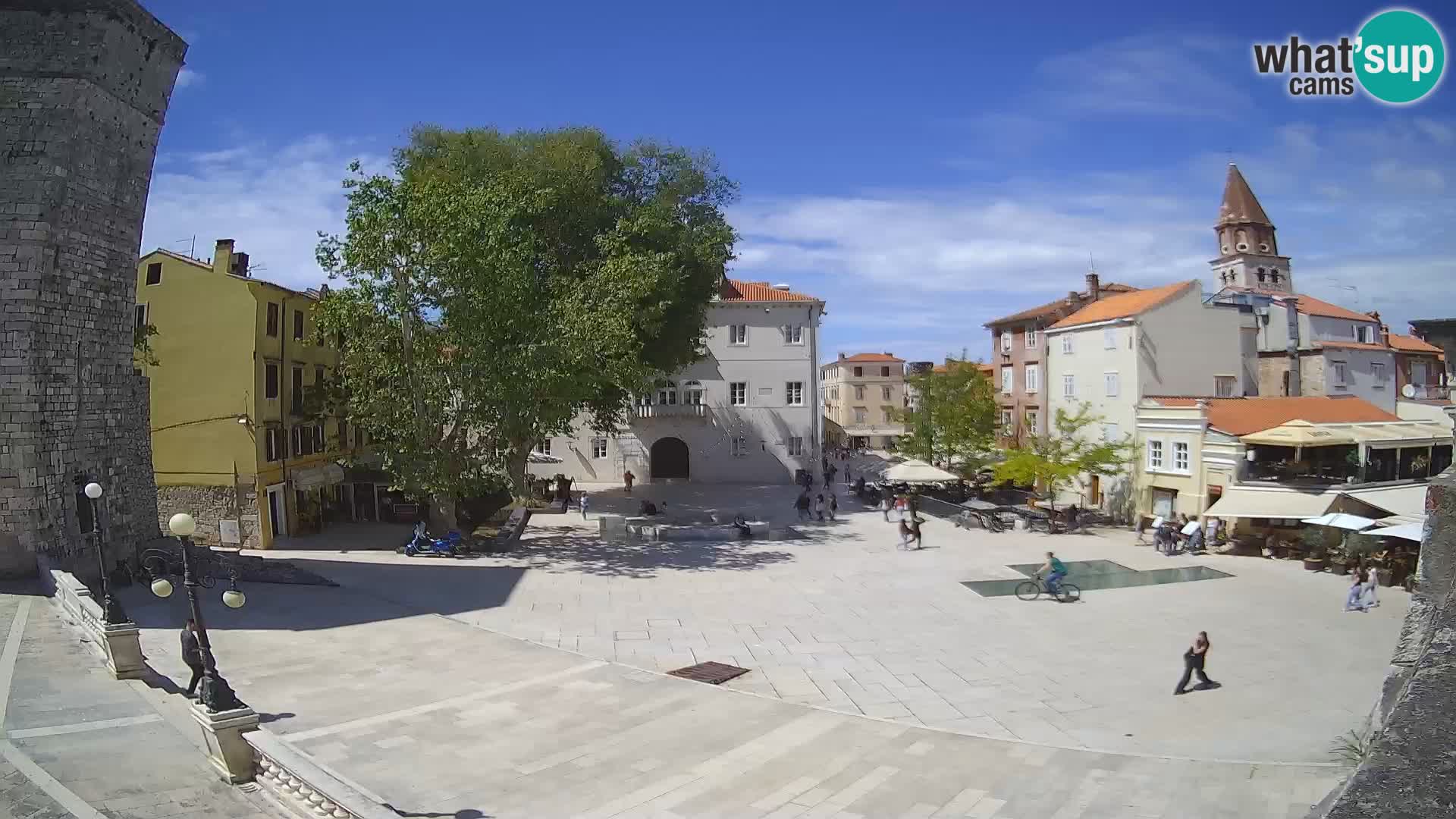 Zadar – Trg Petra Zoranića