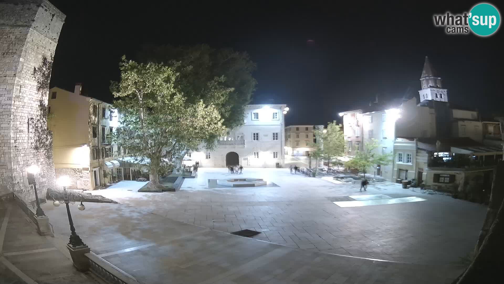 Zadar – Trg Petra Zoranića