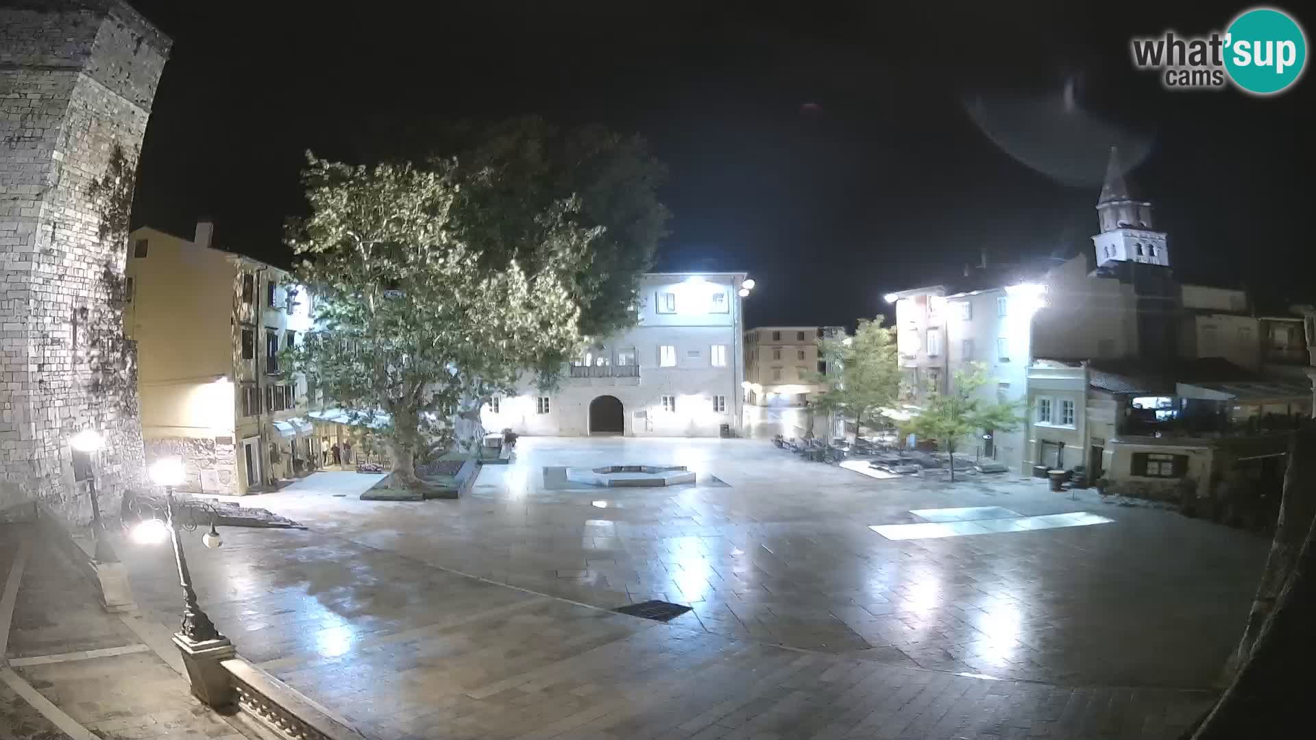 Zadar – Trg Petra Zoranića