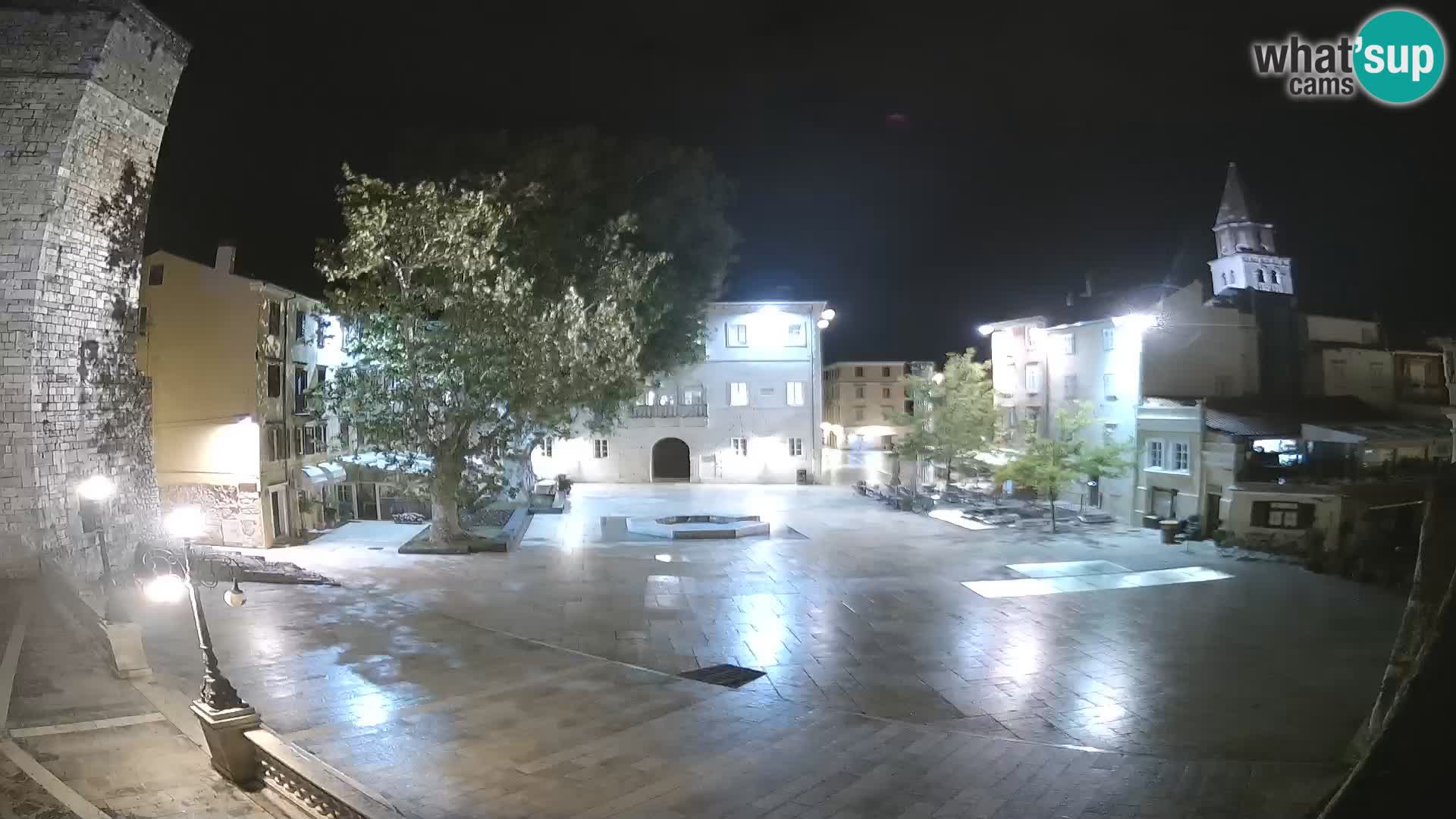 Zadar – Trg Petra Zoranića