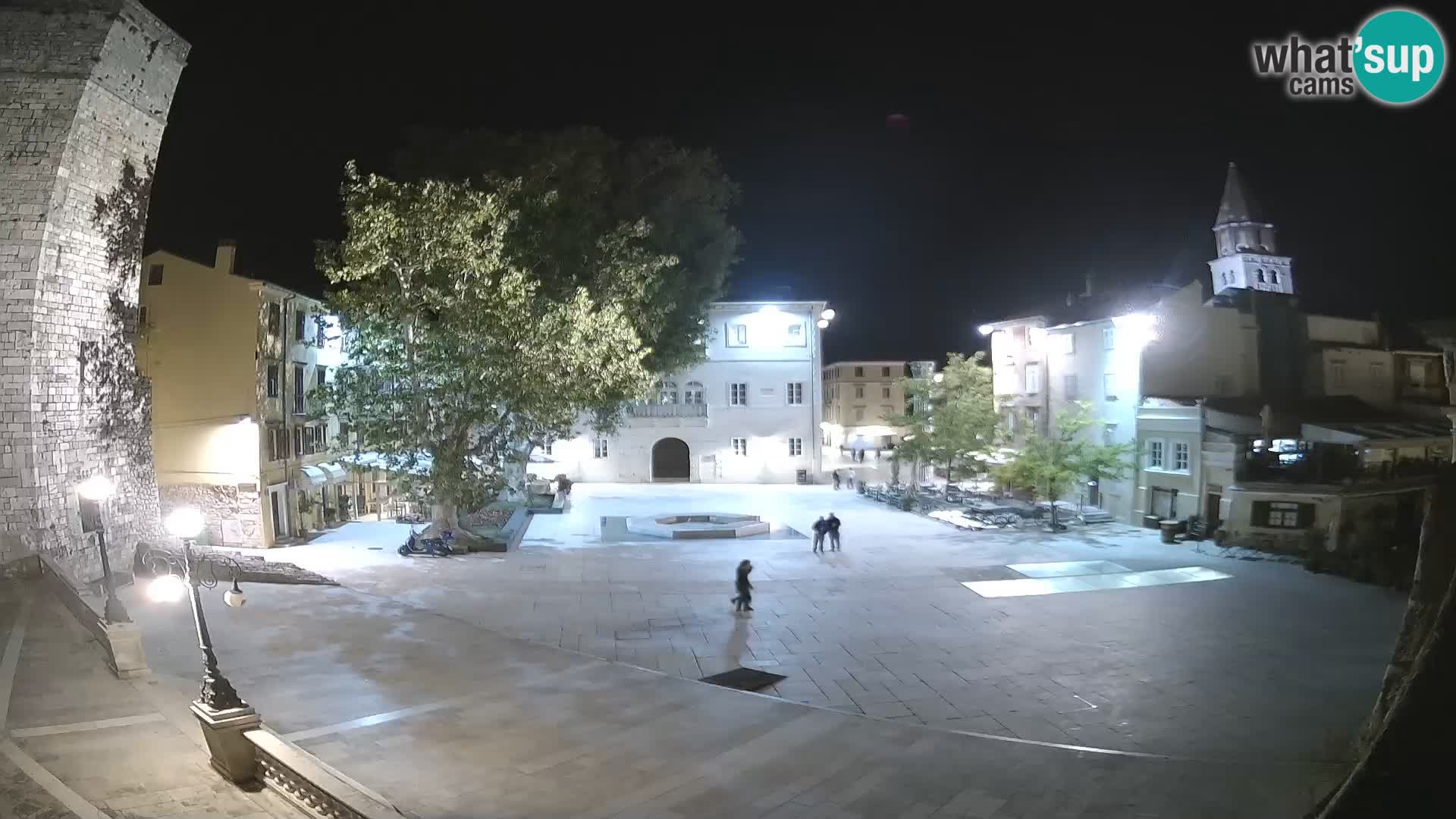 Zadar – Trg Petra Zoranića