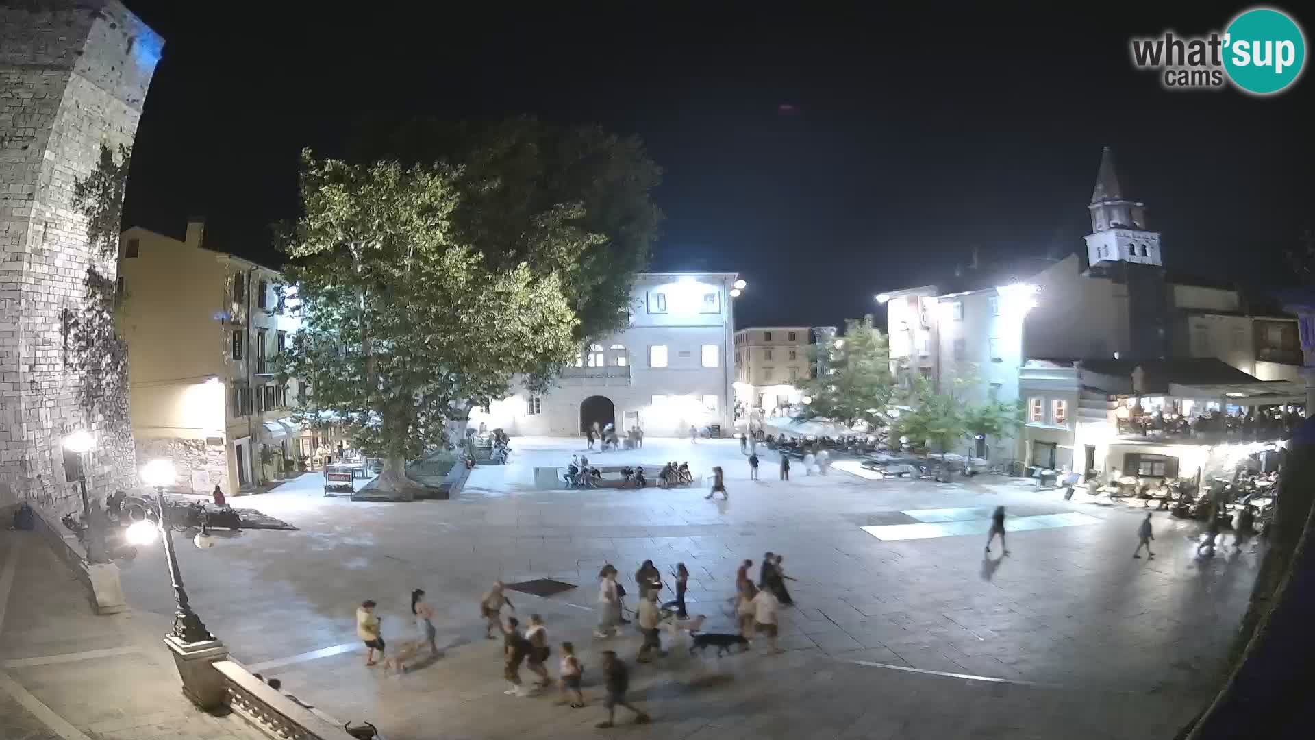Zadar – Trg Petra Zoranića