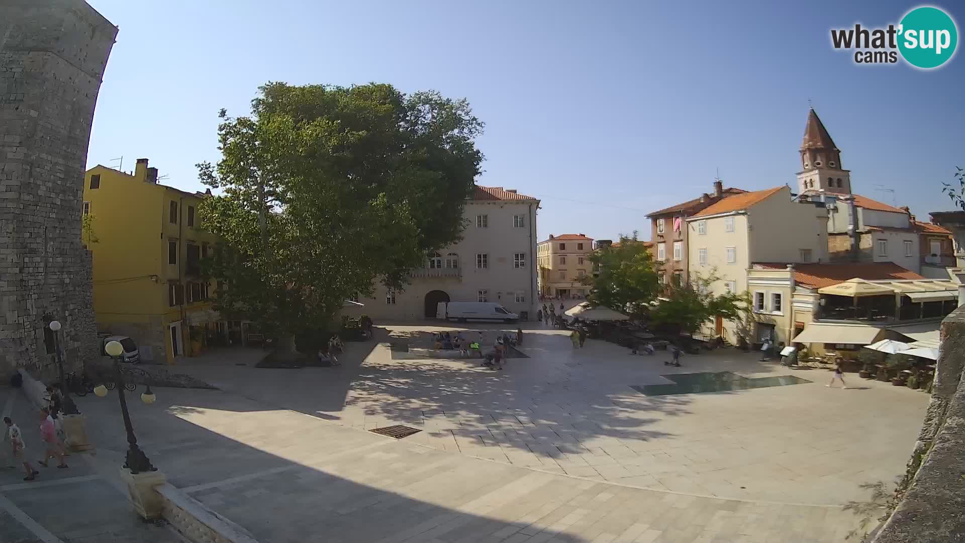 Zadar – Trg Petra Zoranića