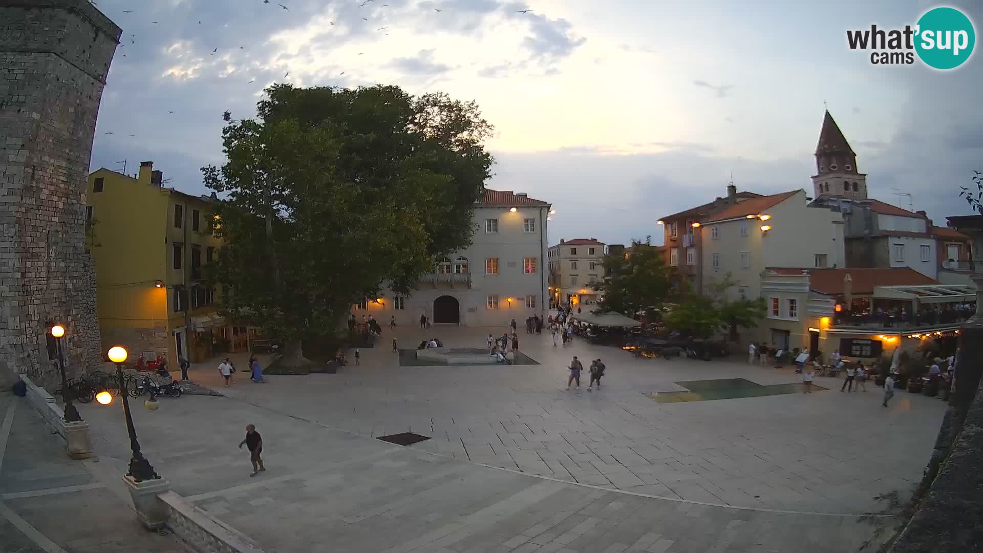 Zadar – Trg Petra Zoranića
