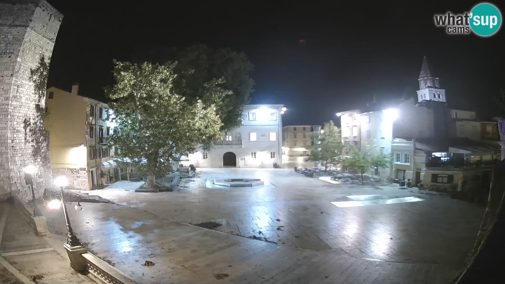 Zadar – Trg Petra Zoranića