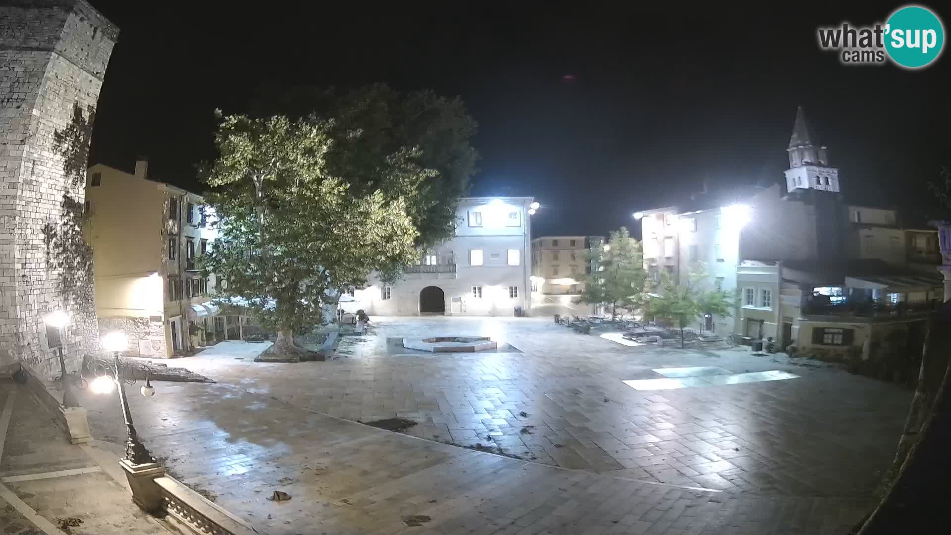 Zadar – Trg Petra Zoranića