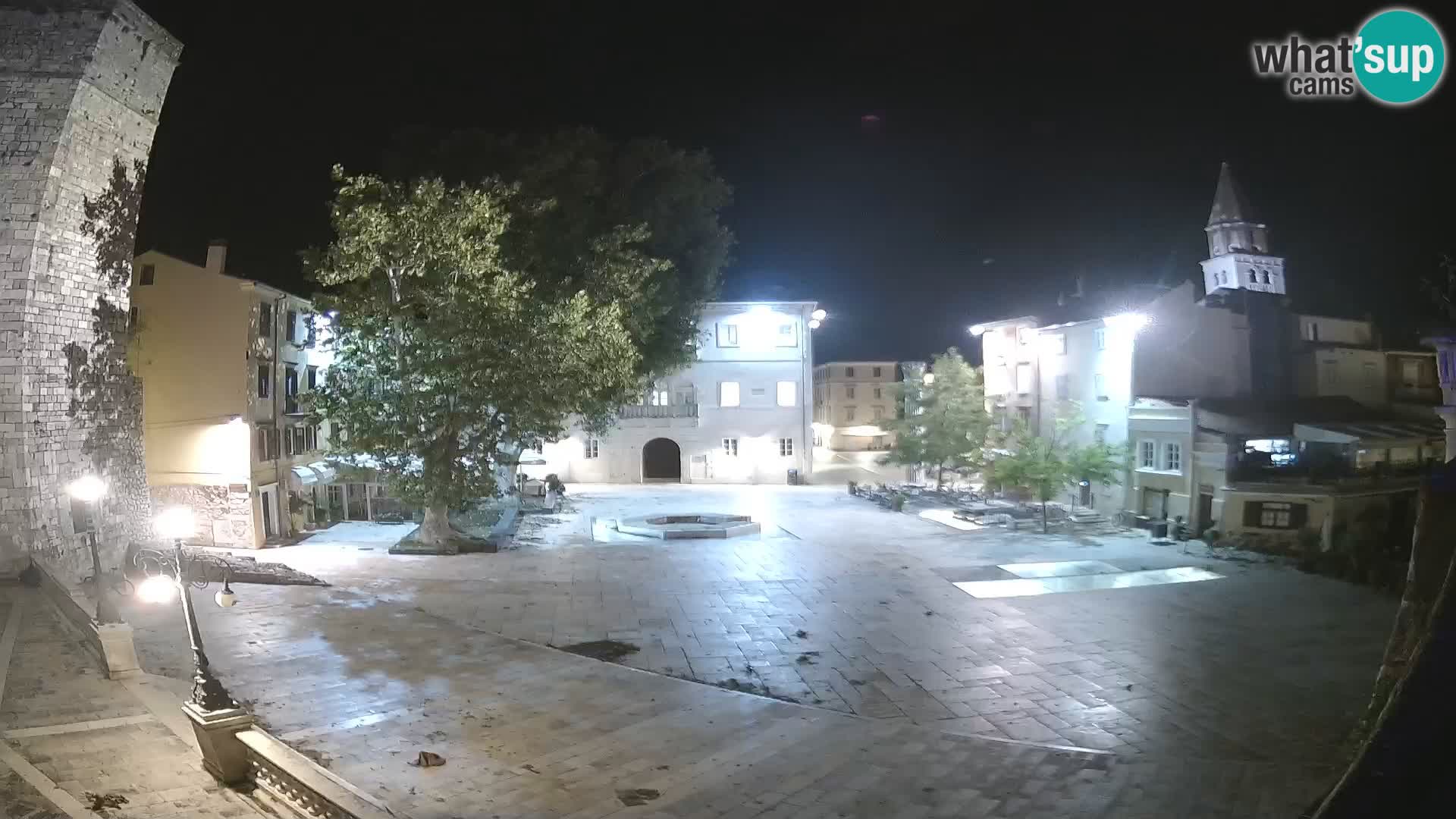 Zadar – Trg Petra Zoranića