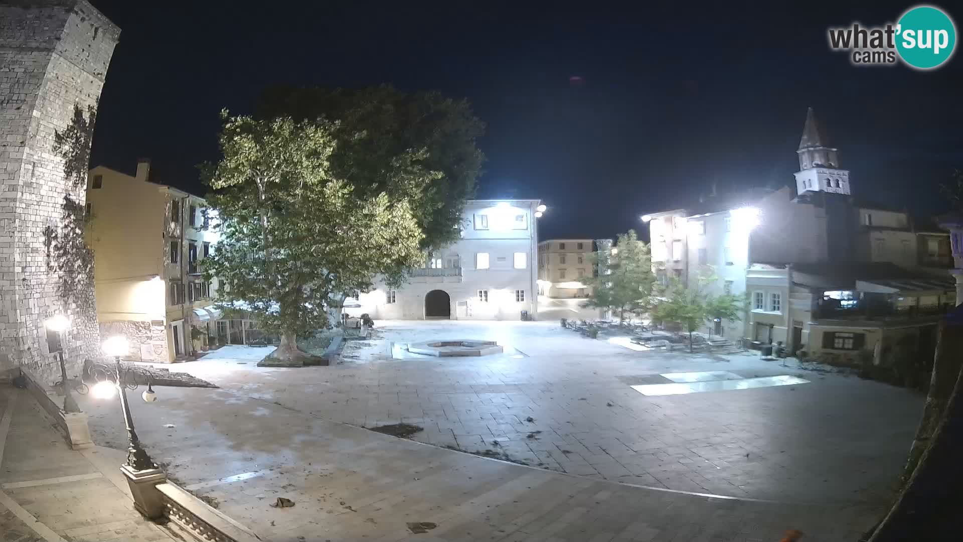 Zadar – Trg Petra Zoranića