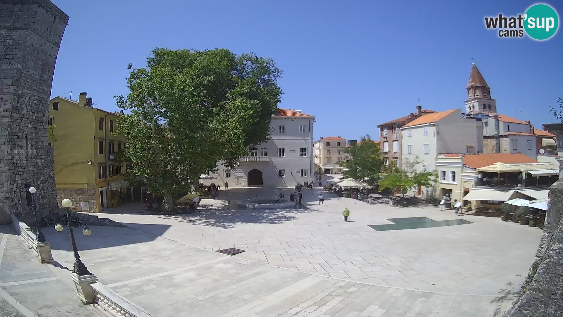 Zadar – Trg Petra Zoranića