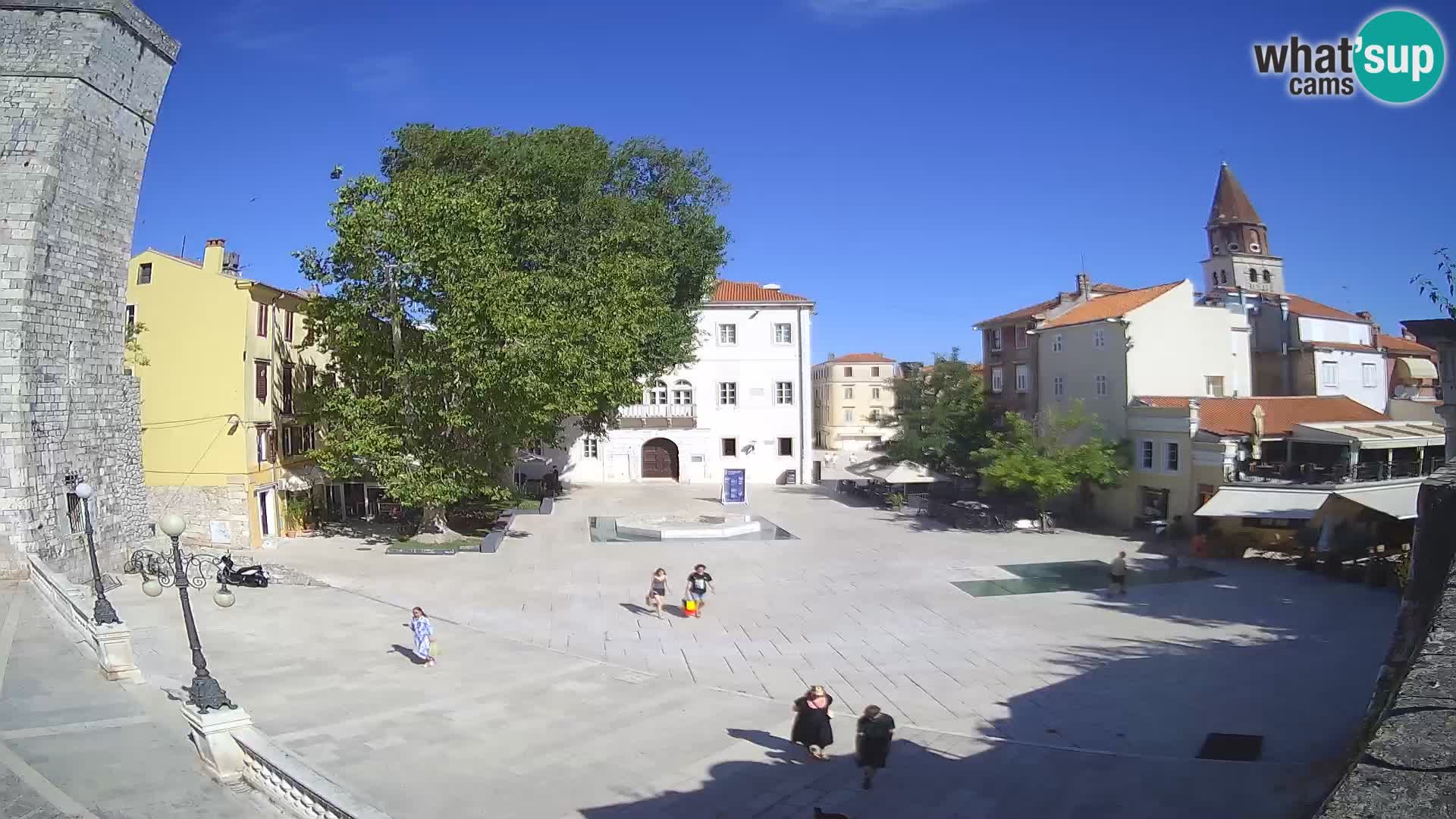 Zadar – Trg Petra Zoranića