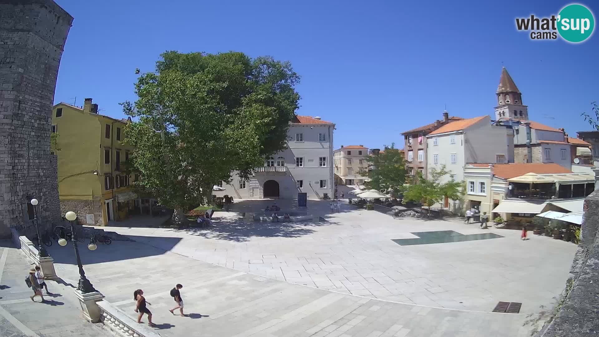 Zadar – Trg Petra Zoranića