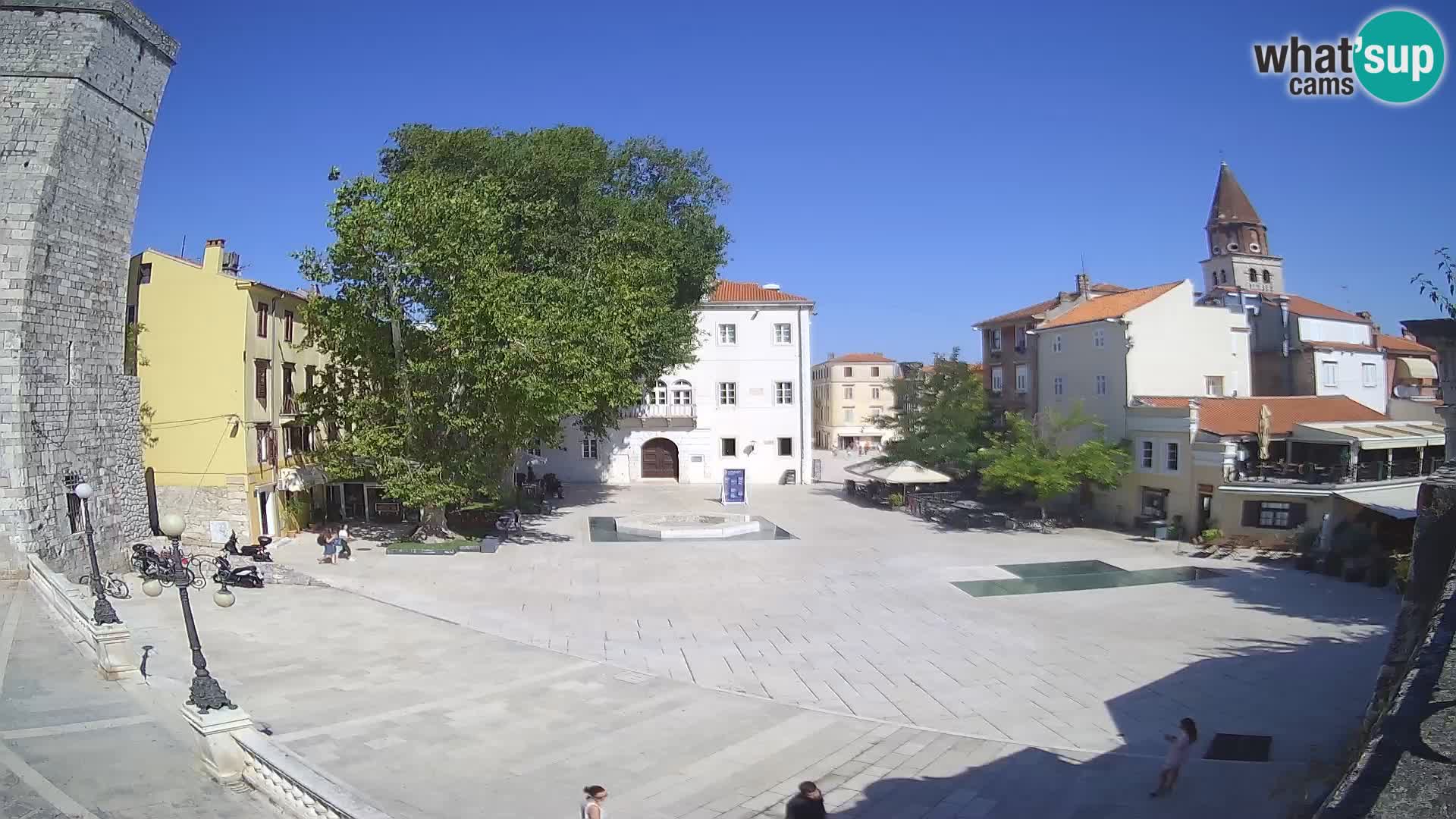 Zadar – Trg Petra Zoranića