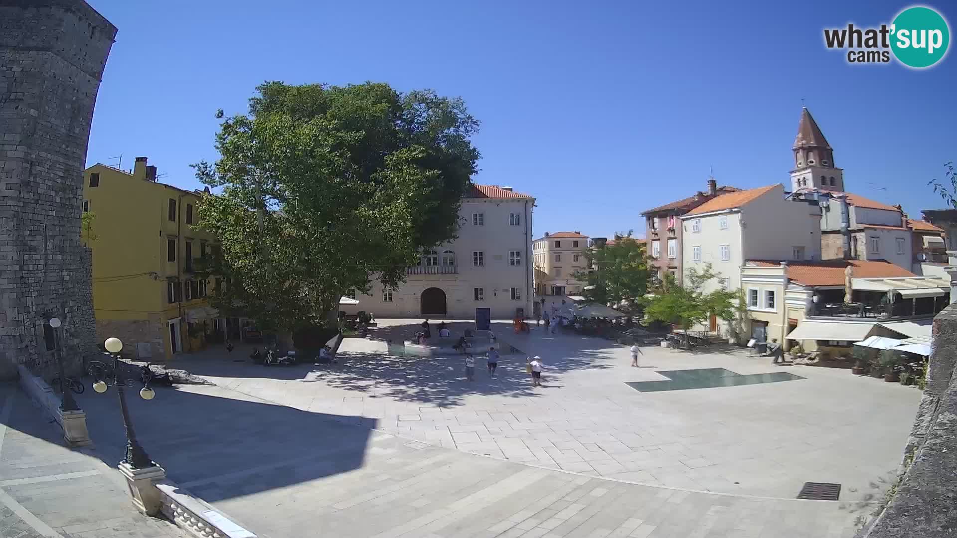 Zadar – Trg Petra Zoranića