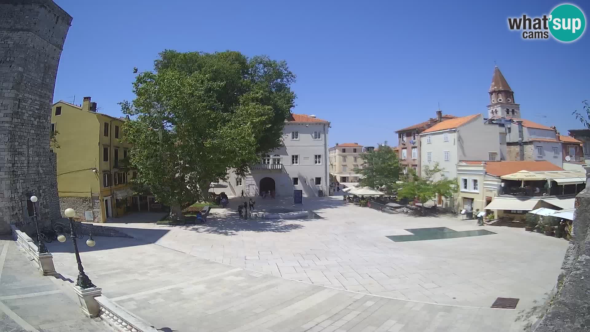 Zadar – Trg Petra Zoranića