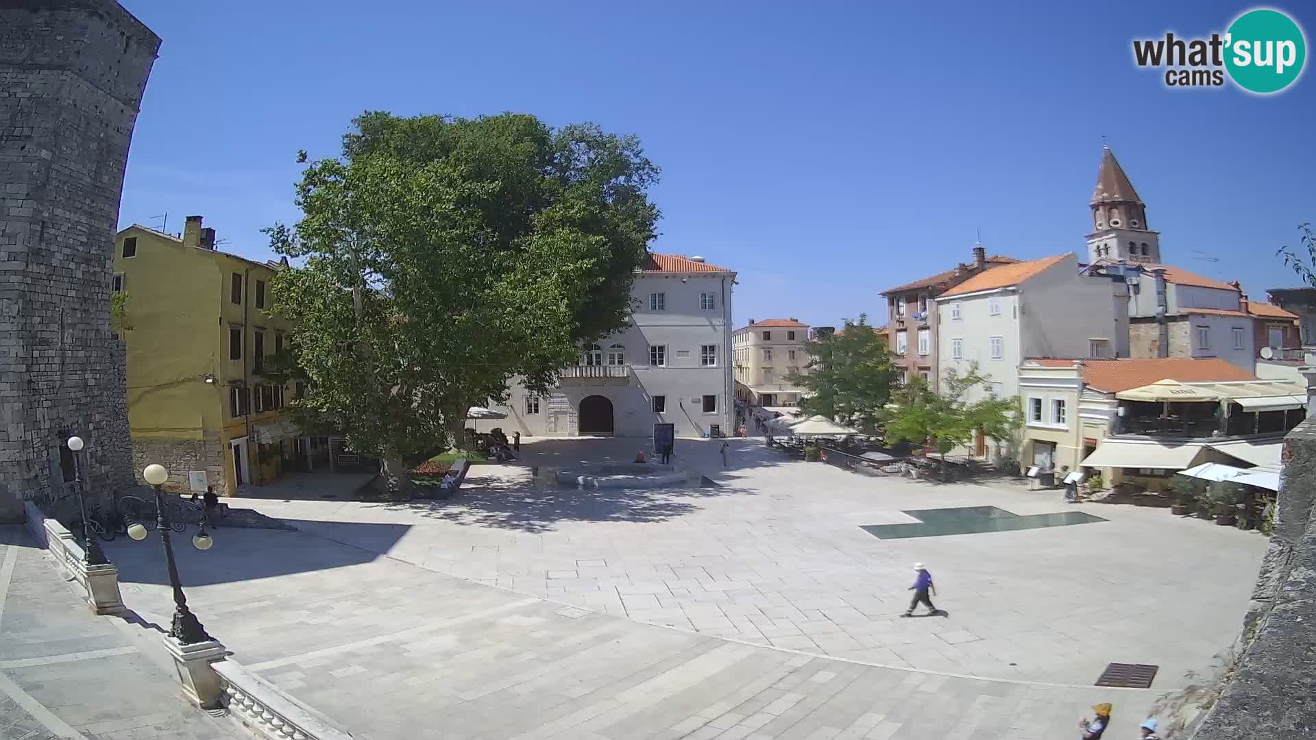 Zadar – Trg Petra Zoranića