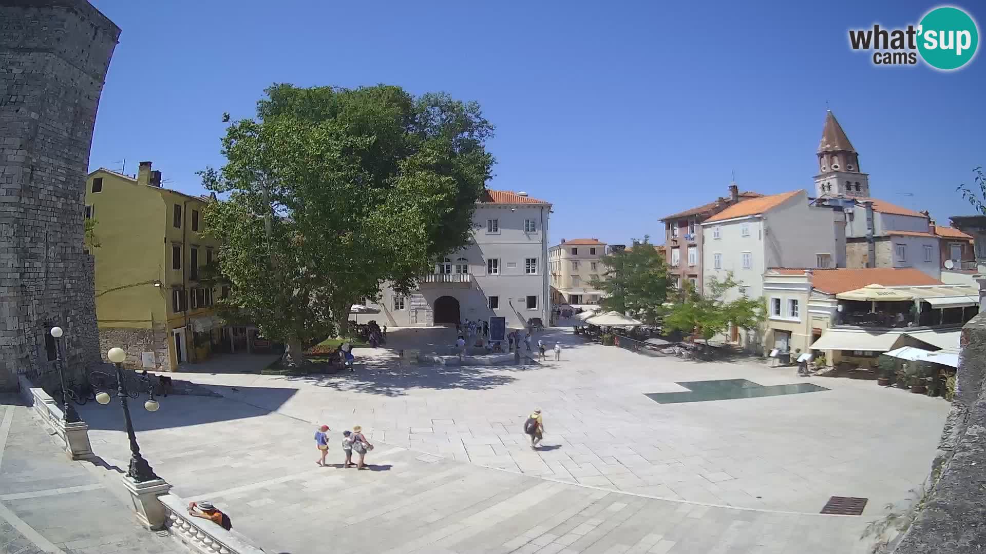 Zadar – Trg Petra Zoranića