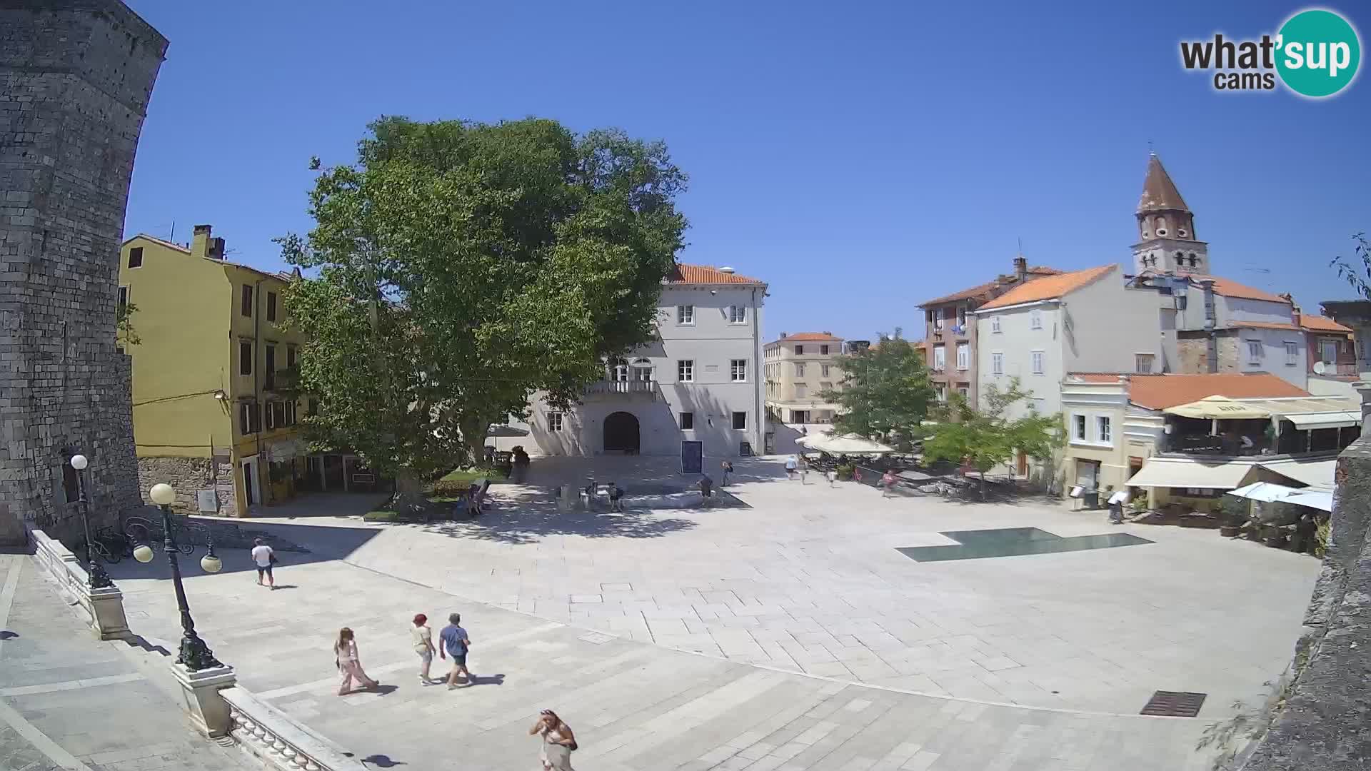 Zadar – Trg Petra Zoranića