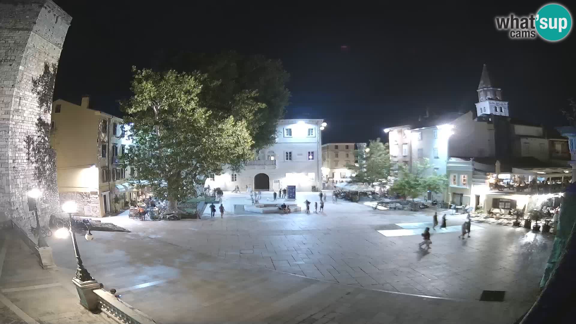 Zadar – Trg Petra Zoranića
