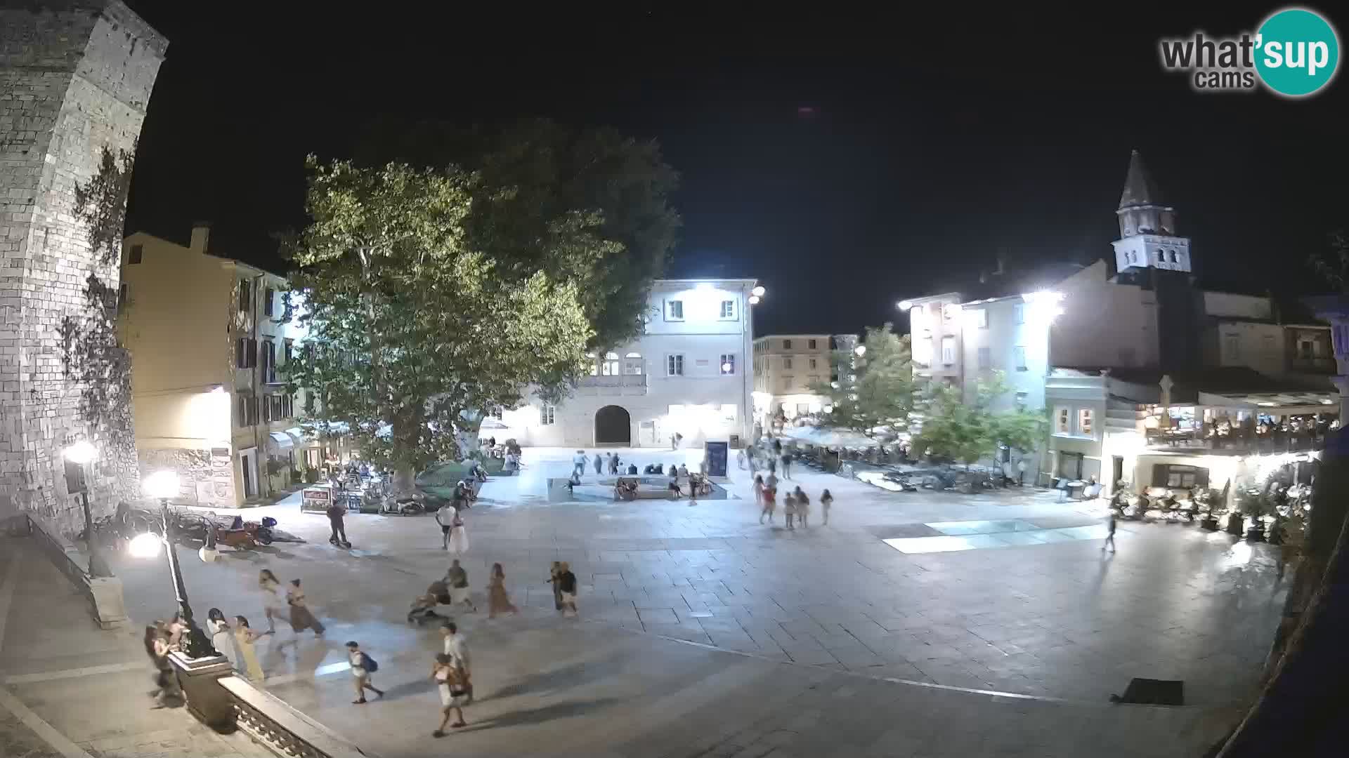 Zadar – Trg Petra Zoranića