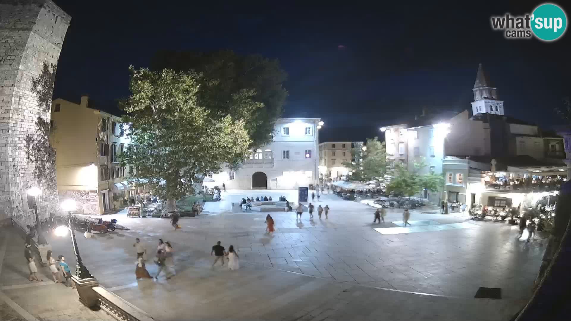Zadar – Trg Petra Zoranića