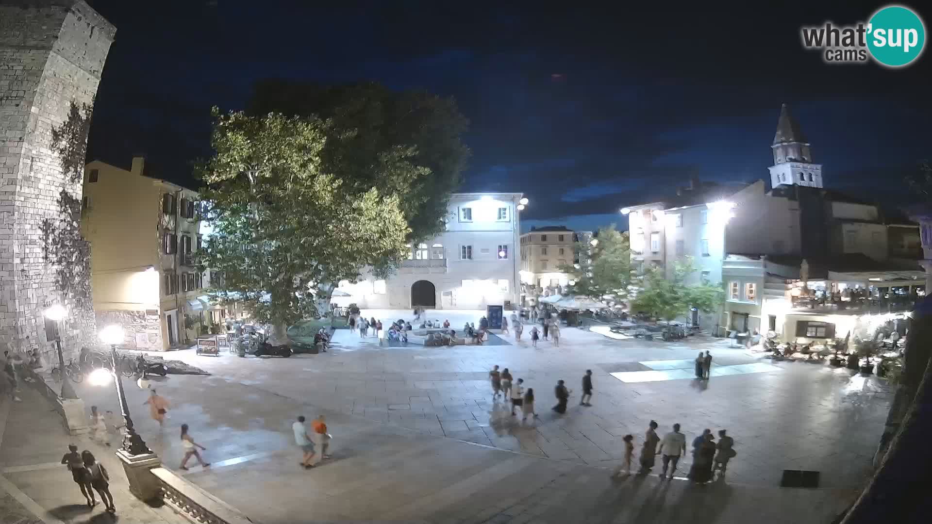 Zadar – Trg Petra Zoranića